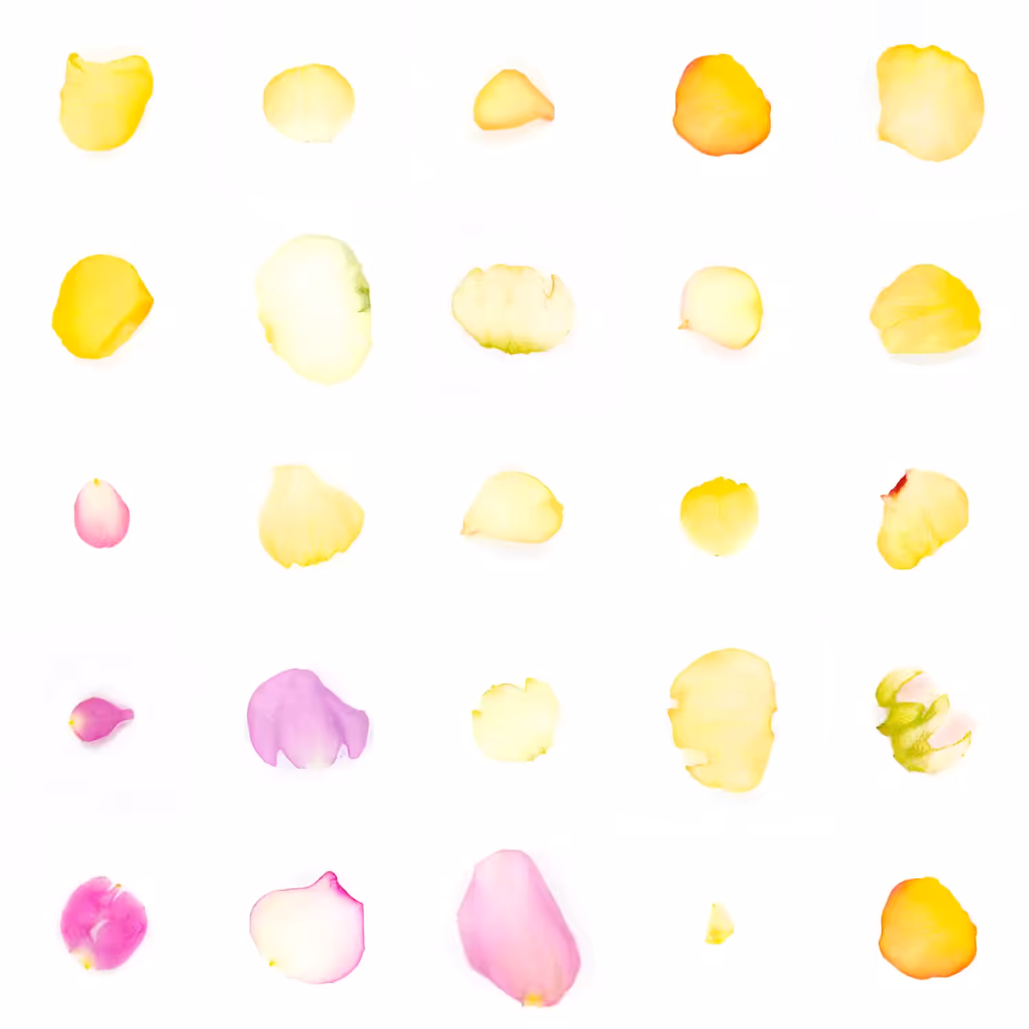 Infinite Petals 5x5#21739