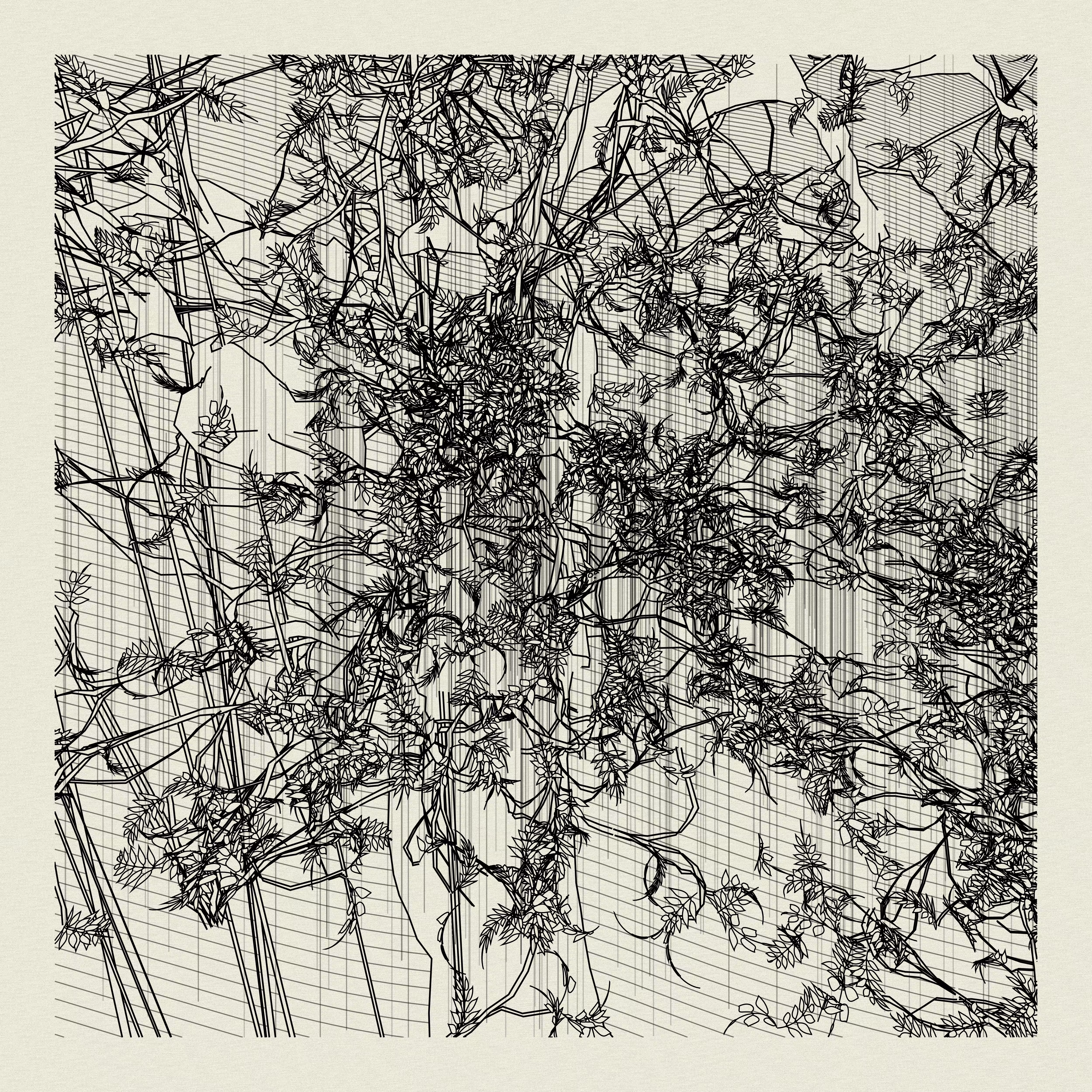 A Bugged Forest #399