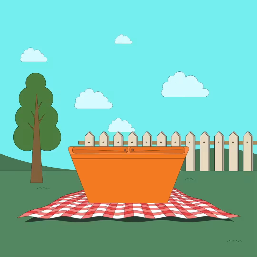 The Picnic
