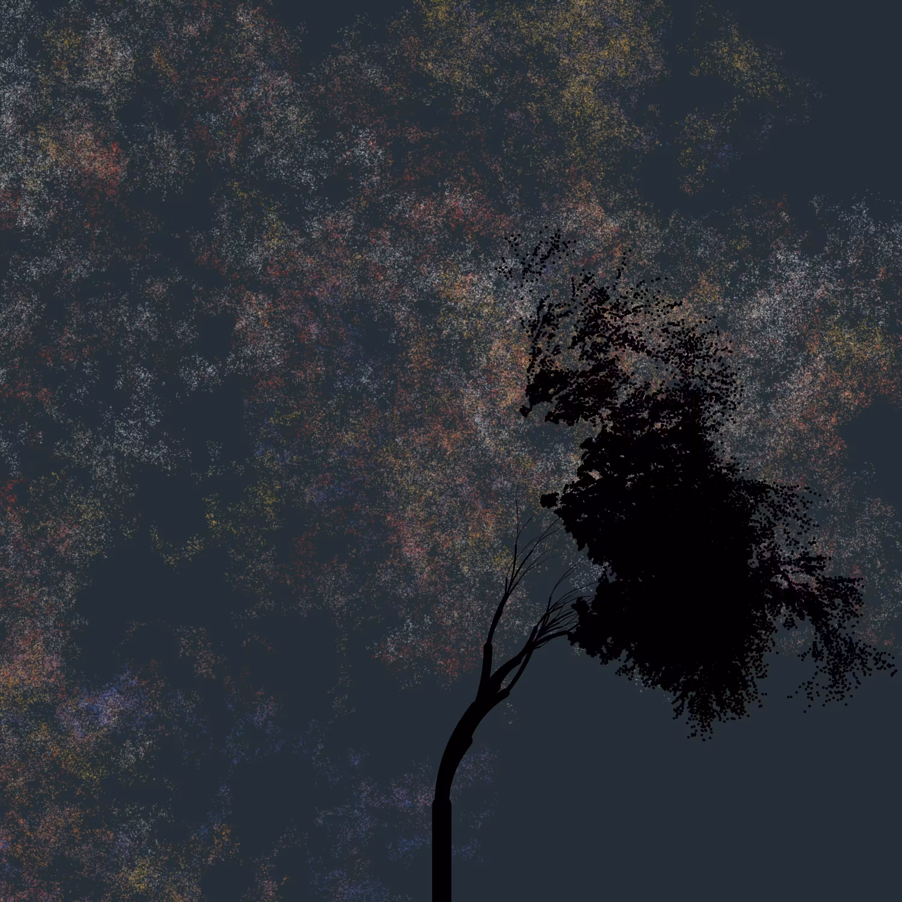 Night Tree 242