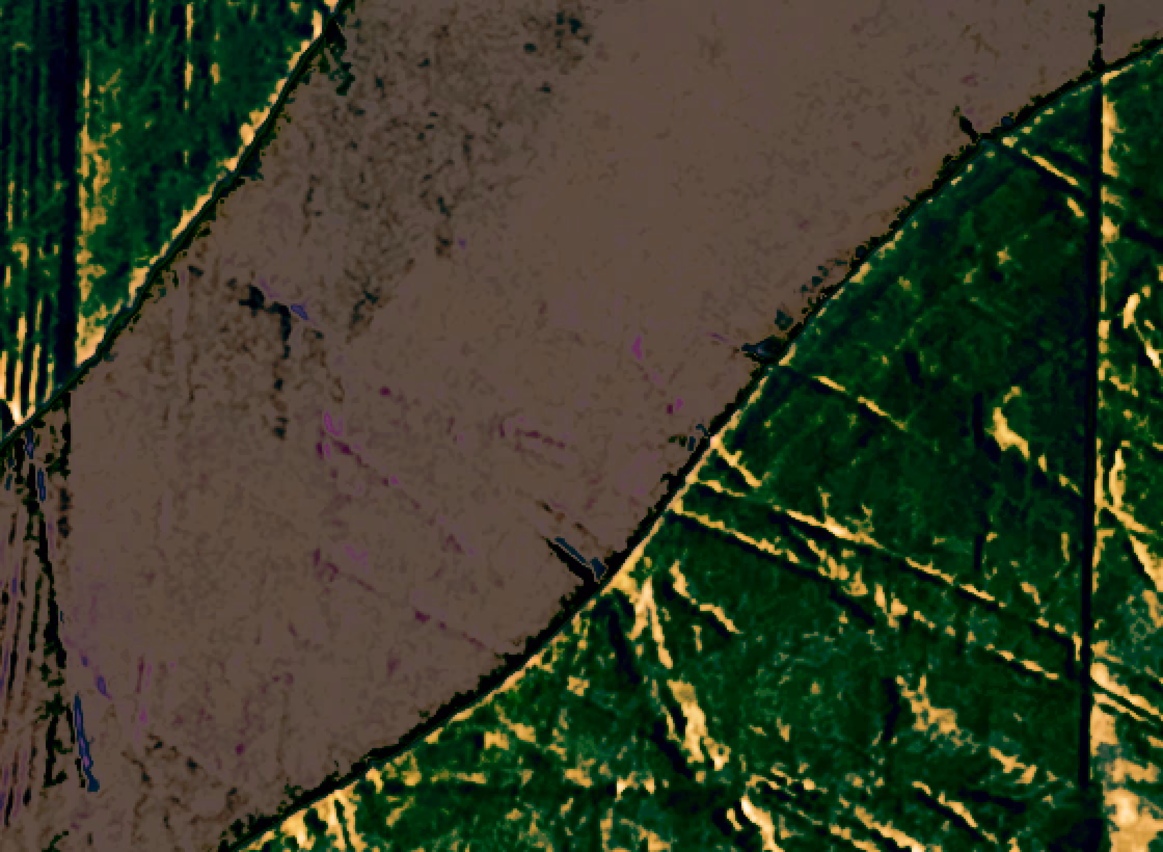 whirled territory #6