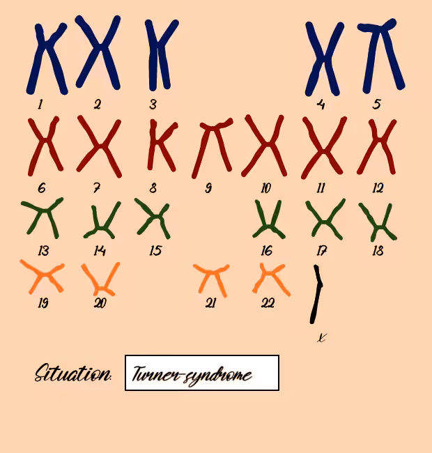 "Karyotype" #1