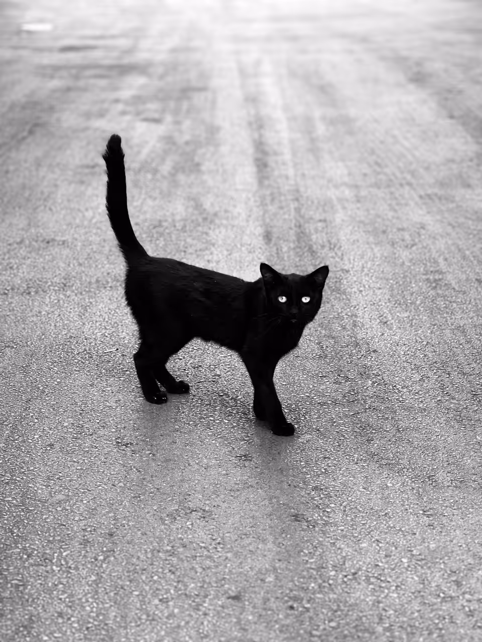 Walking on the street
