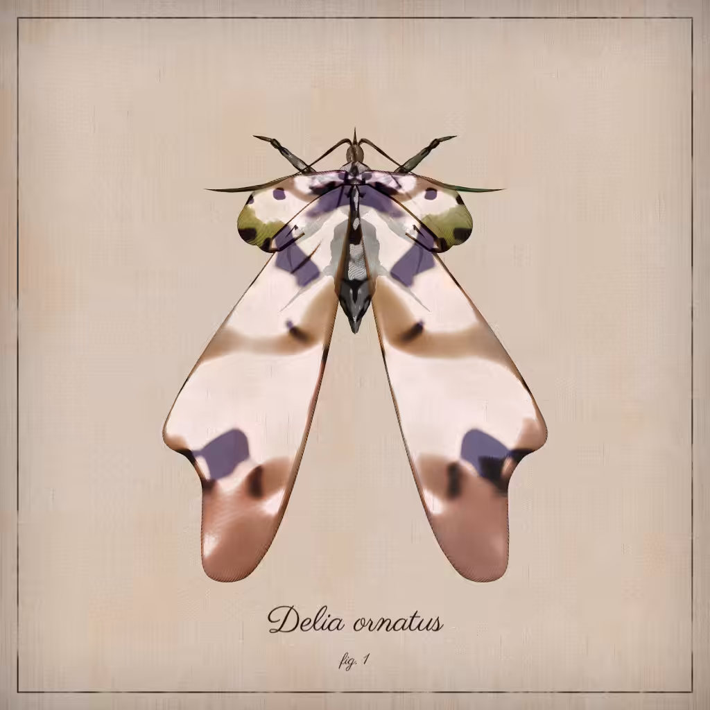 ProcGen Entomology #108