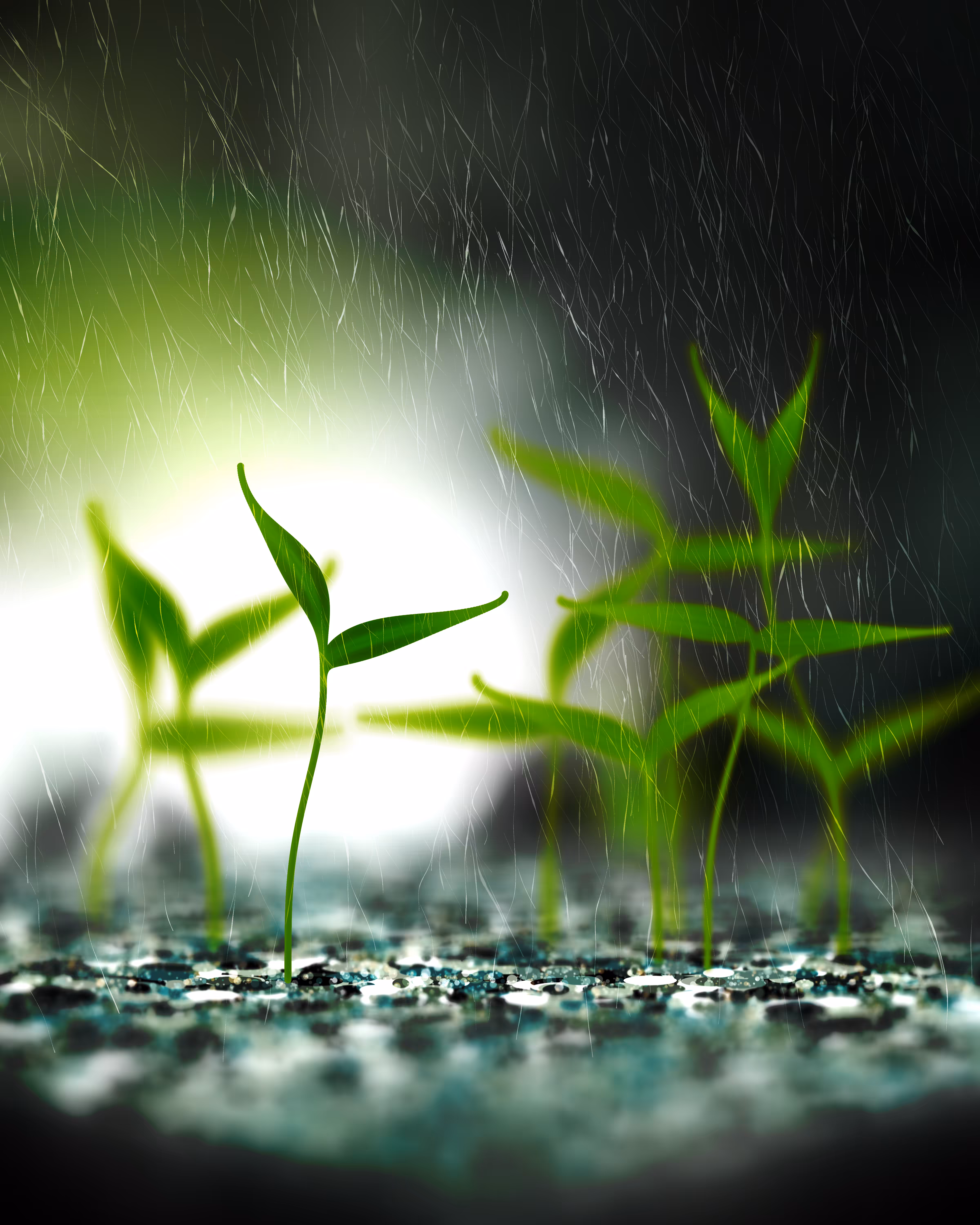 Take Root #2