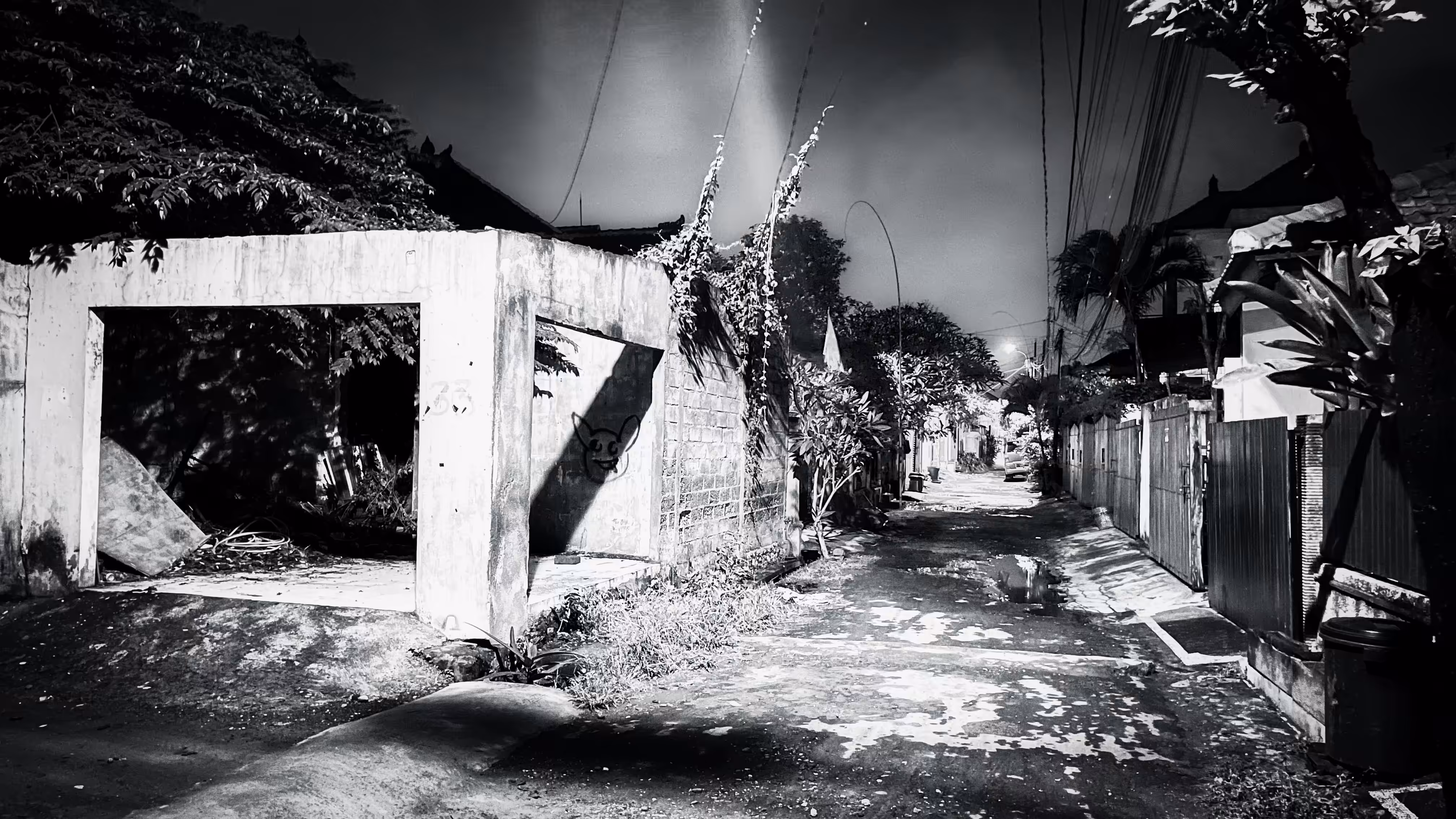 The Way Home