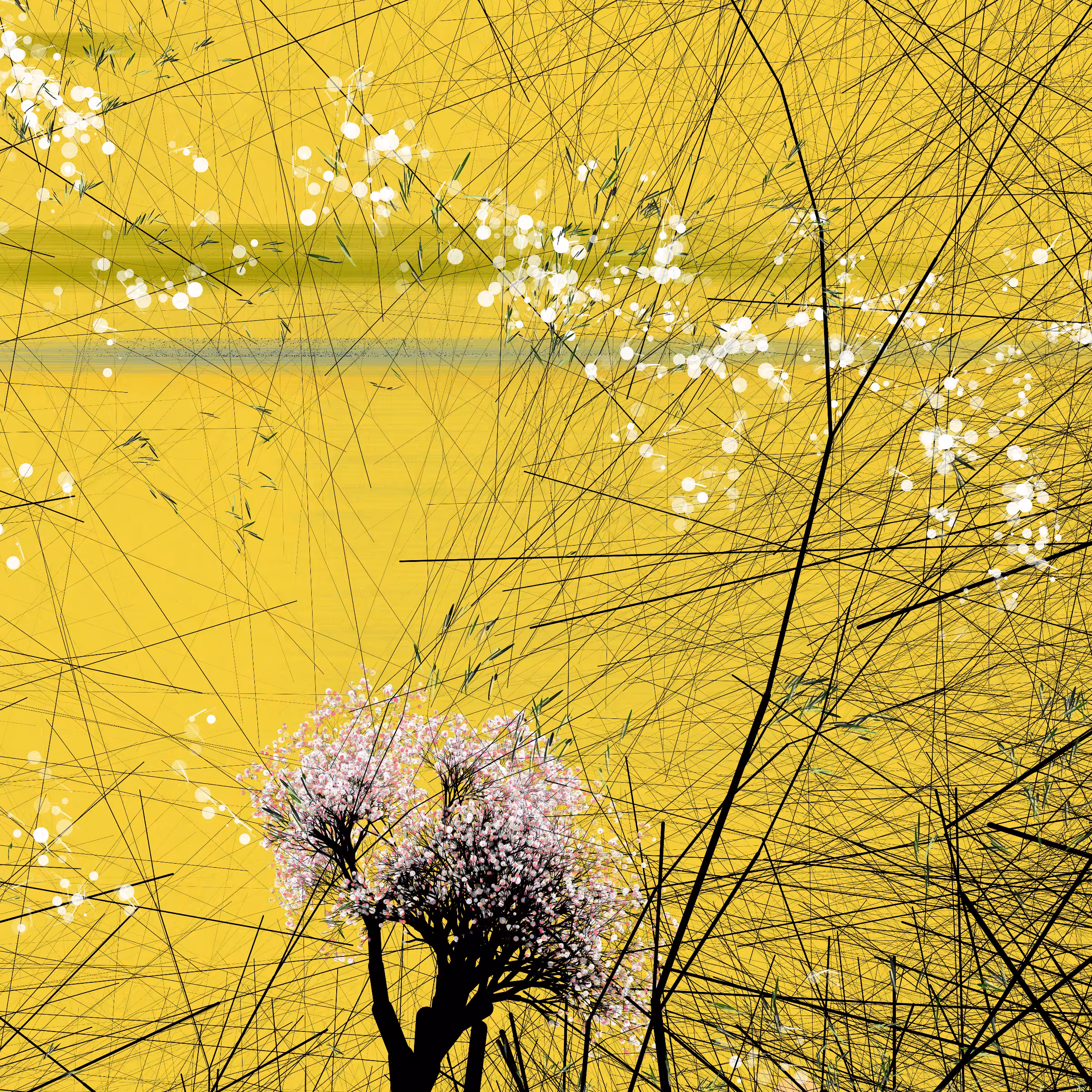 conversation with the wind #816