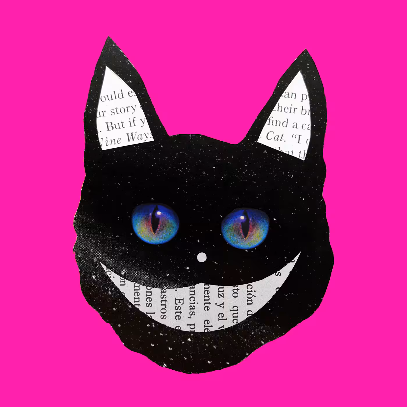 Black hole cat dude