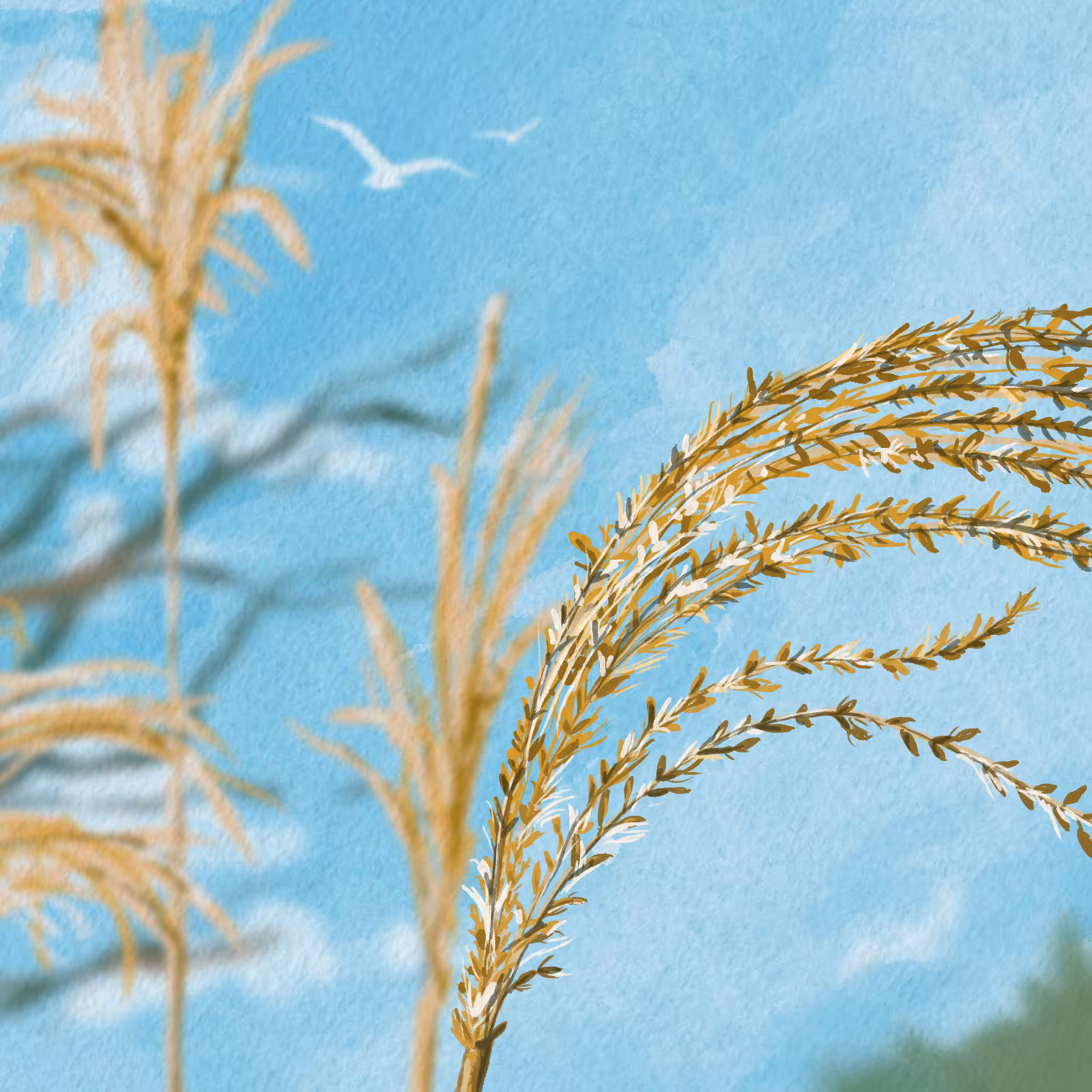 23 - harvest