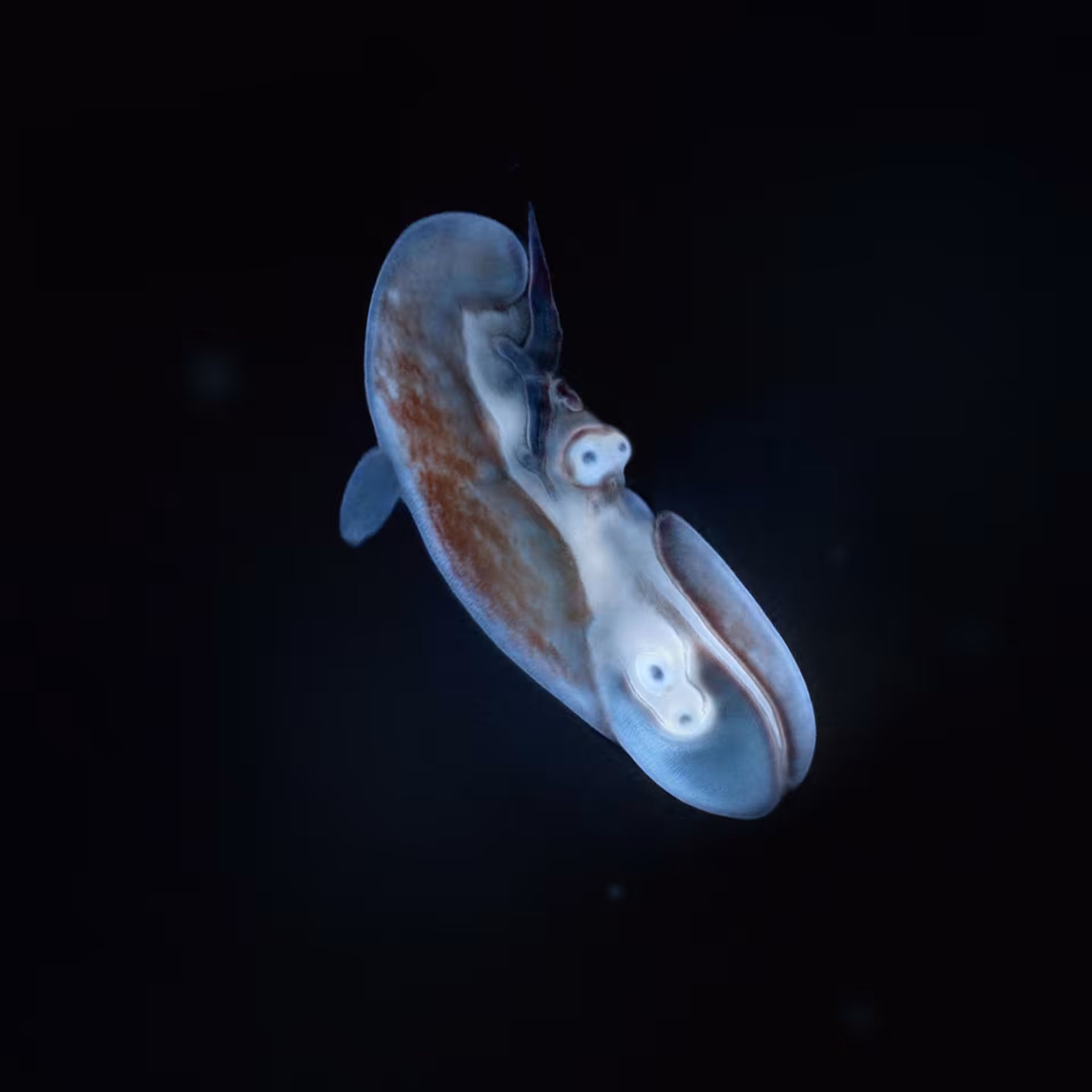 SPERMA: Sperma 44