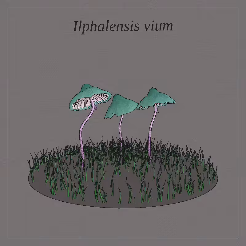 SHROOMS 3D #31