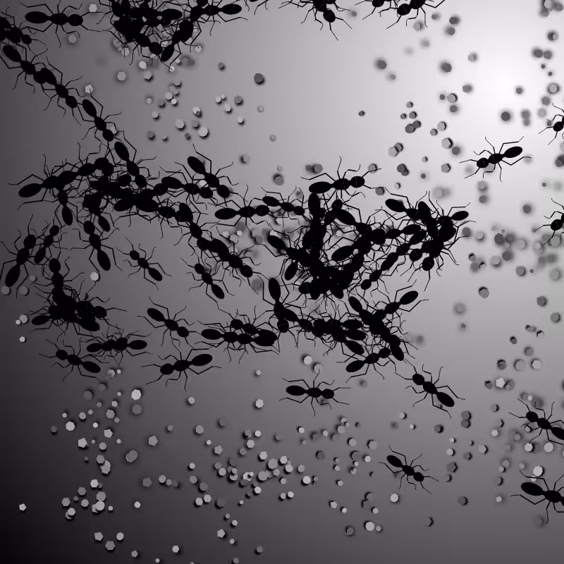 ANTS #1