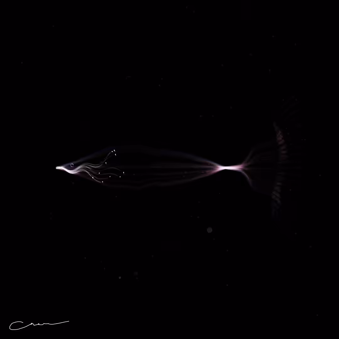SoulFish #242