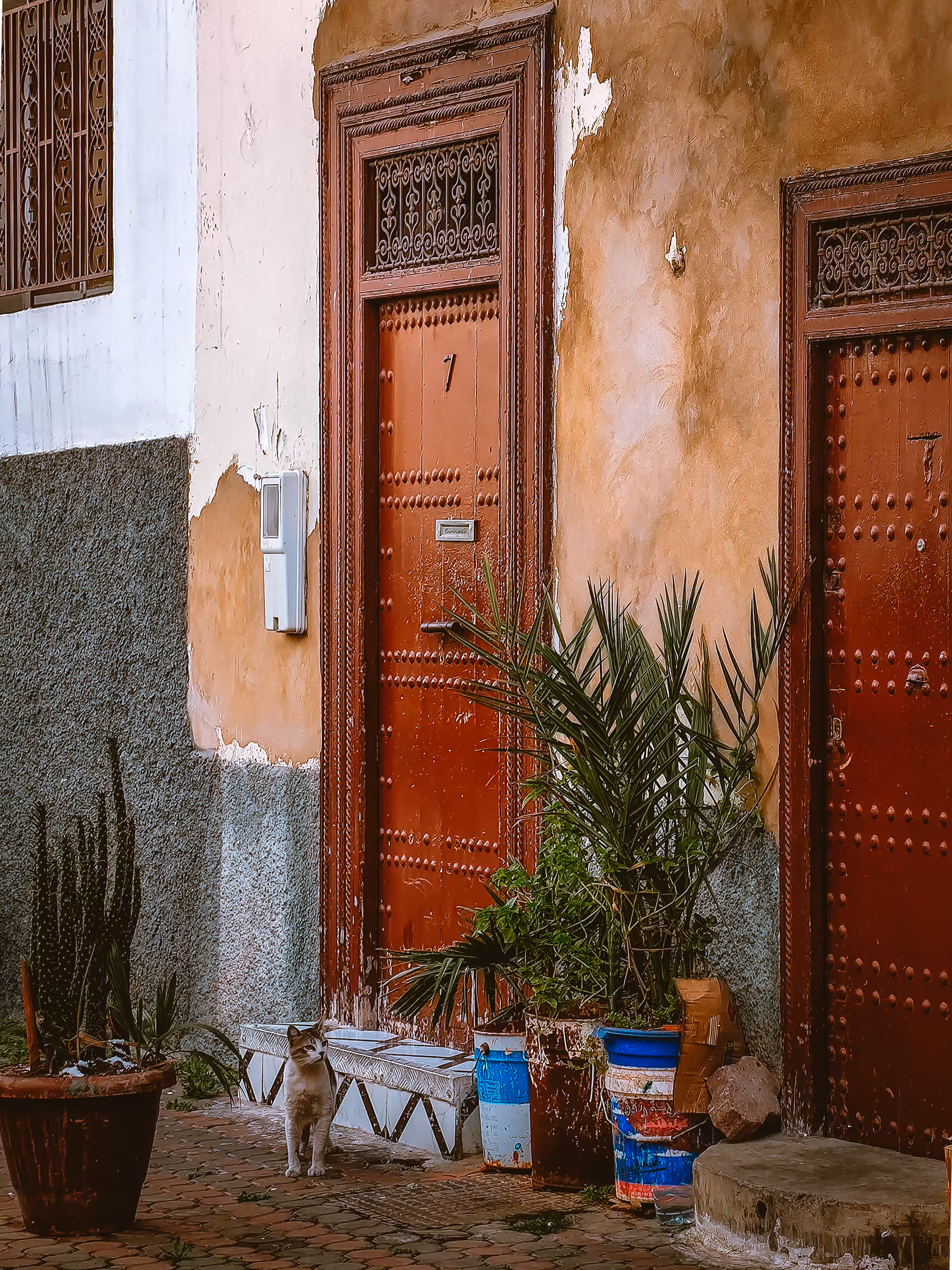 Morocco dreams (Collection #: 3 of 10)