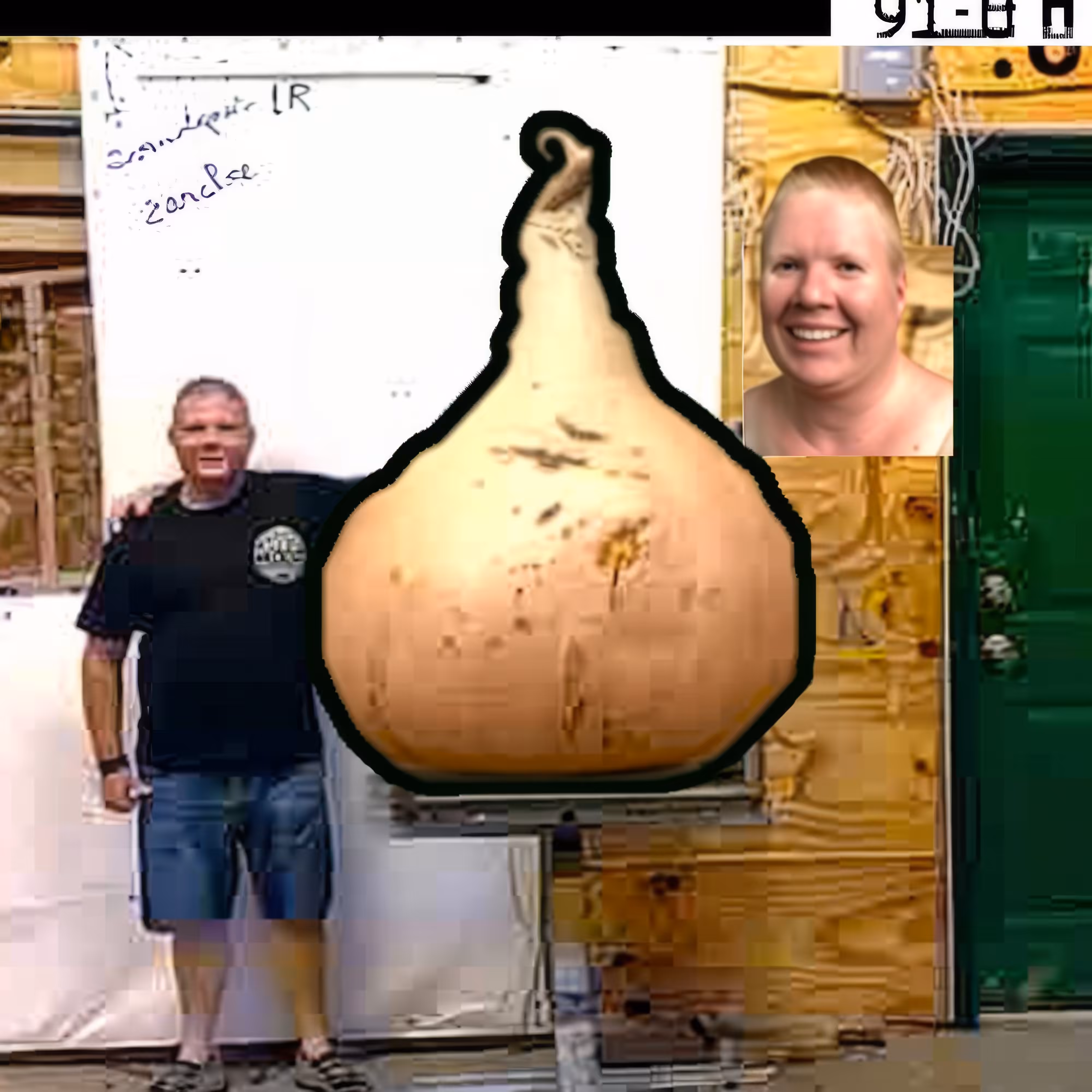 Onion-Collage