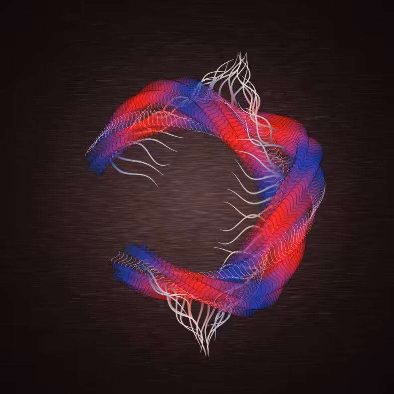 Flimsy #17