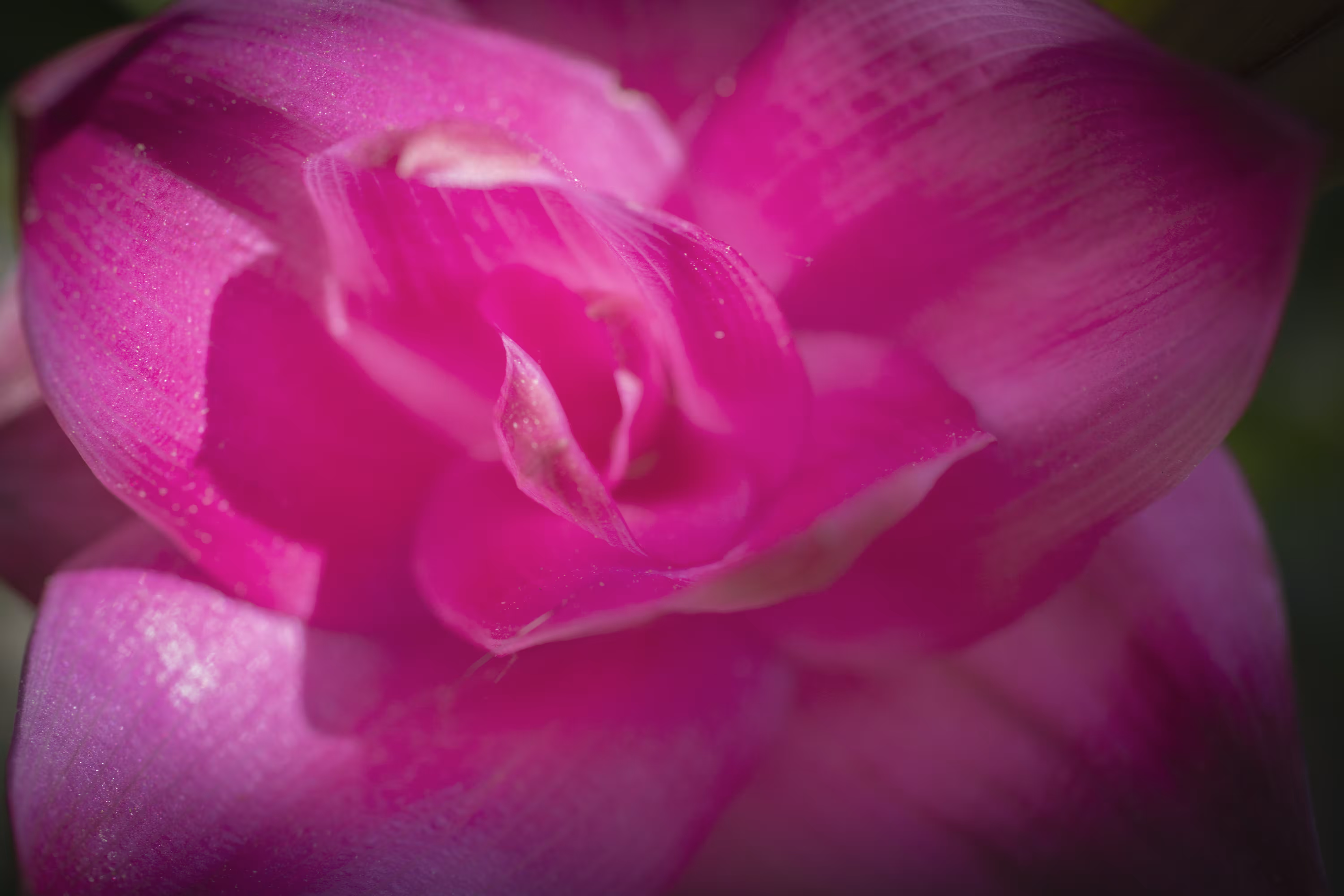 Happy Flowers: Soft Like Silk