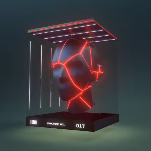 Fracture Boi