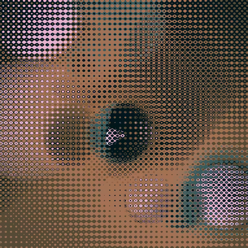 Focus #23