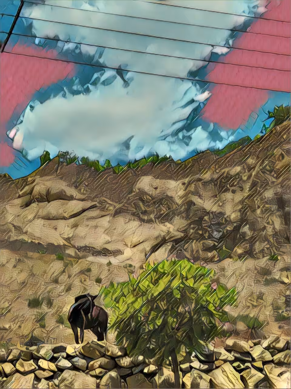 Alone horse