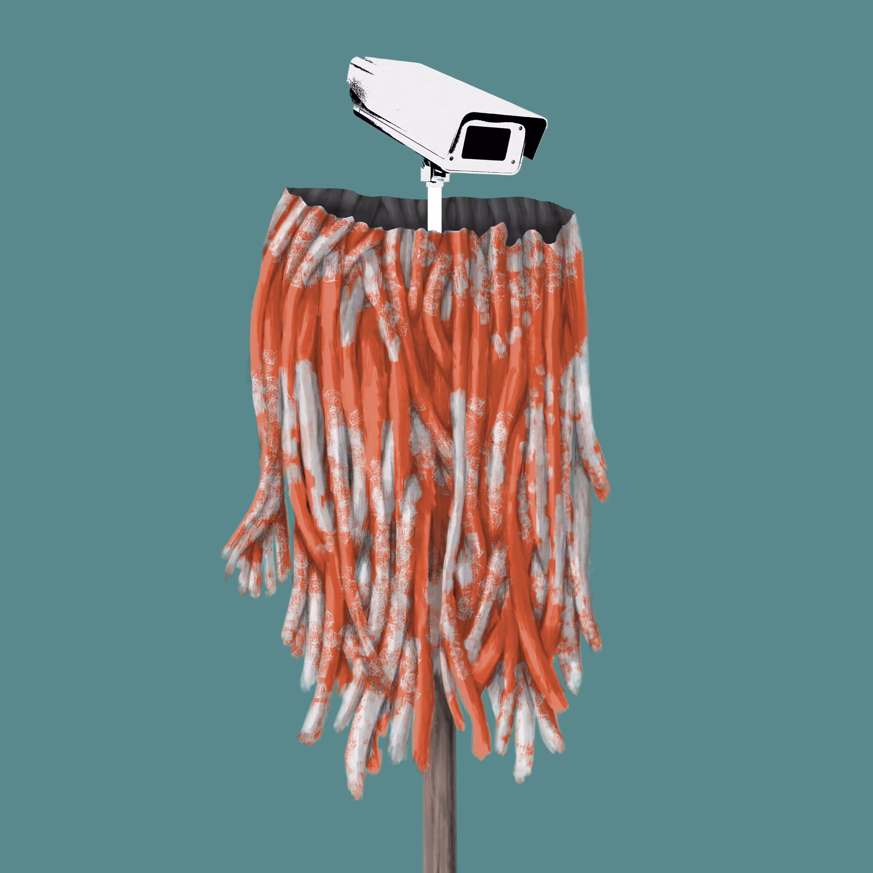 The Janitor's Brooms: #71