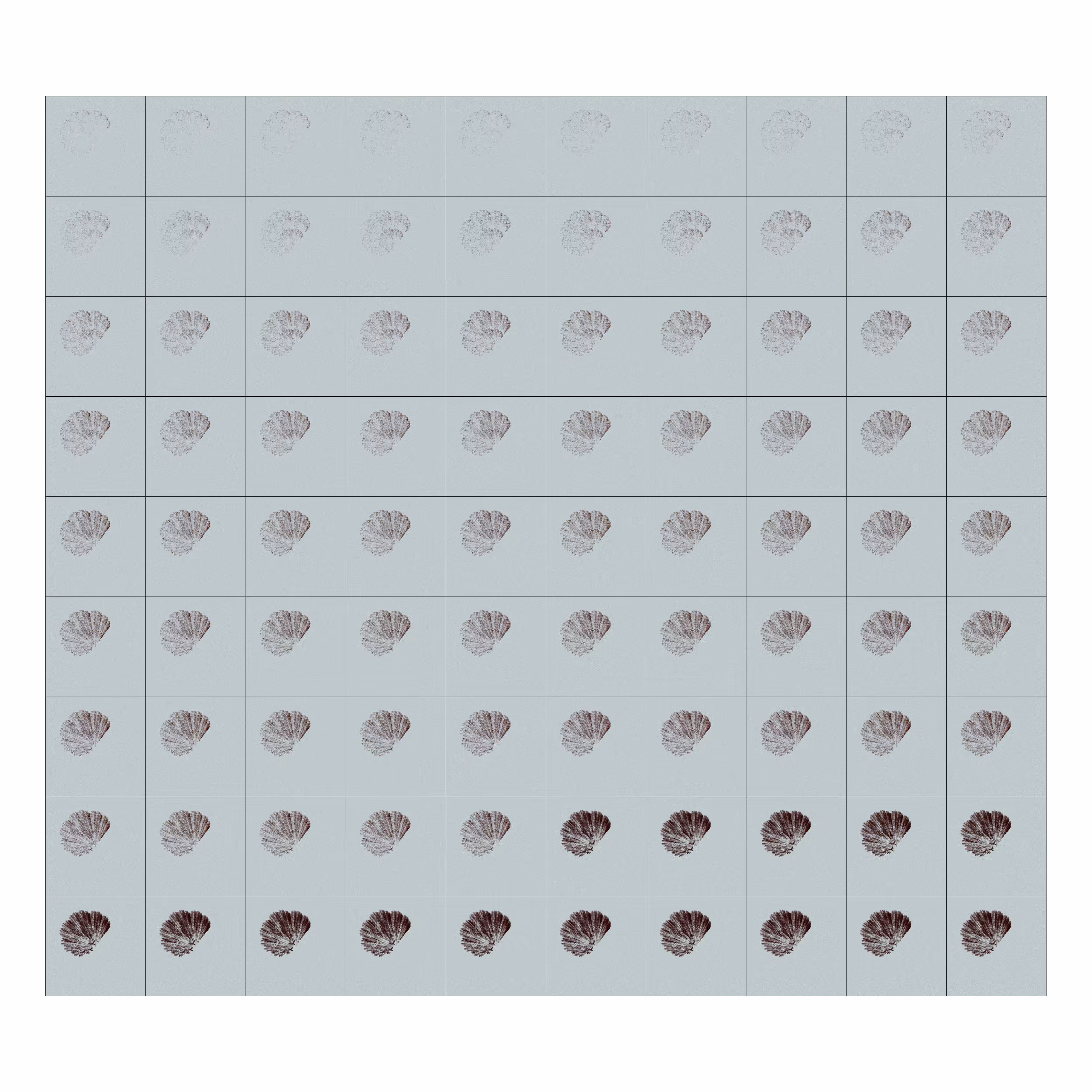 From Process | Emergence II