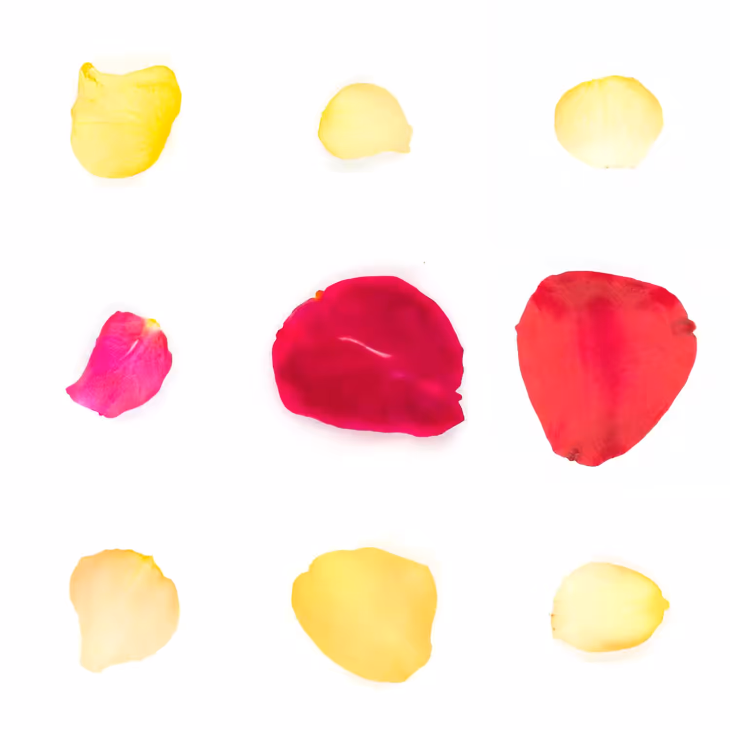 Infinite Petals 3x3#3874