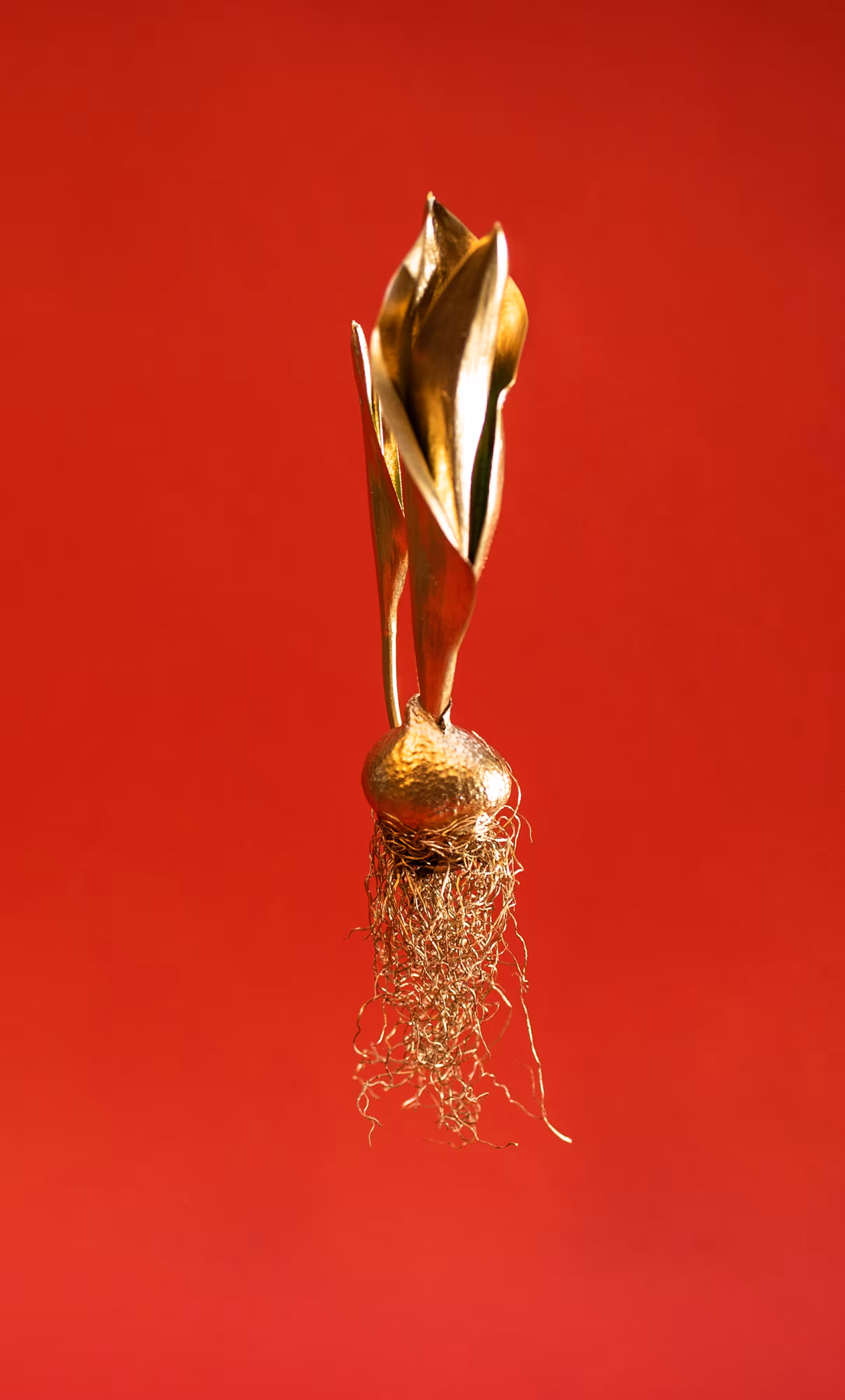 Crypto Tulip - #red3