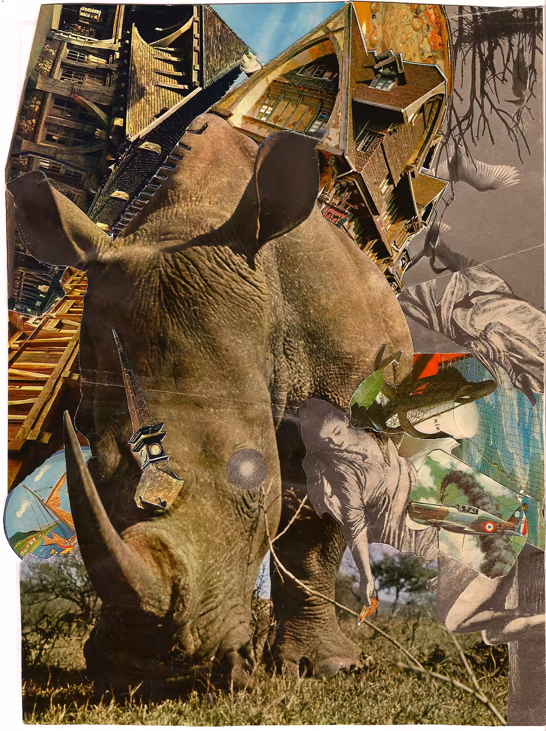 Le Rhino
