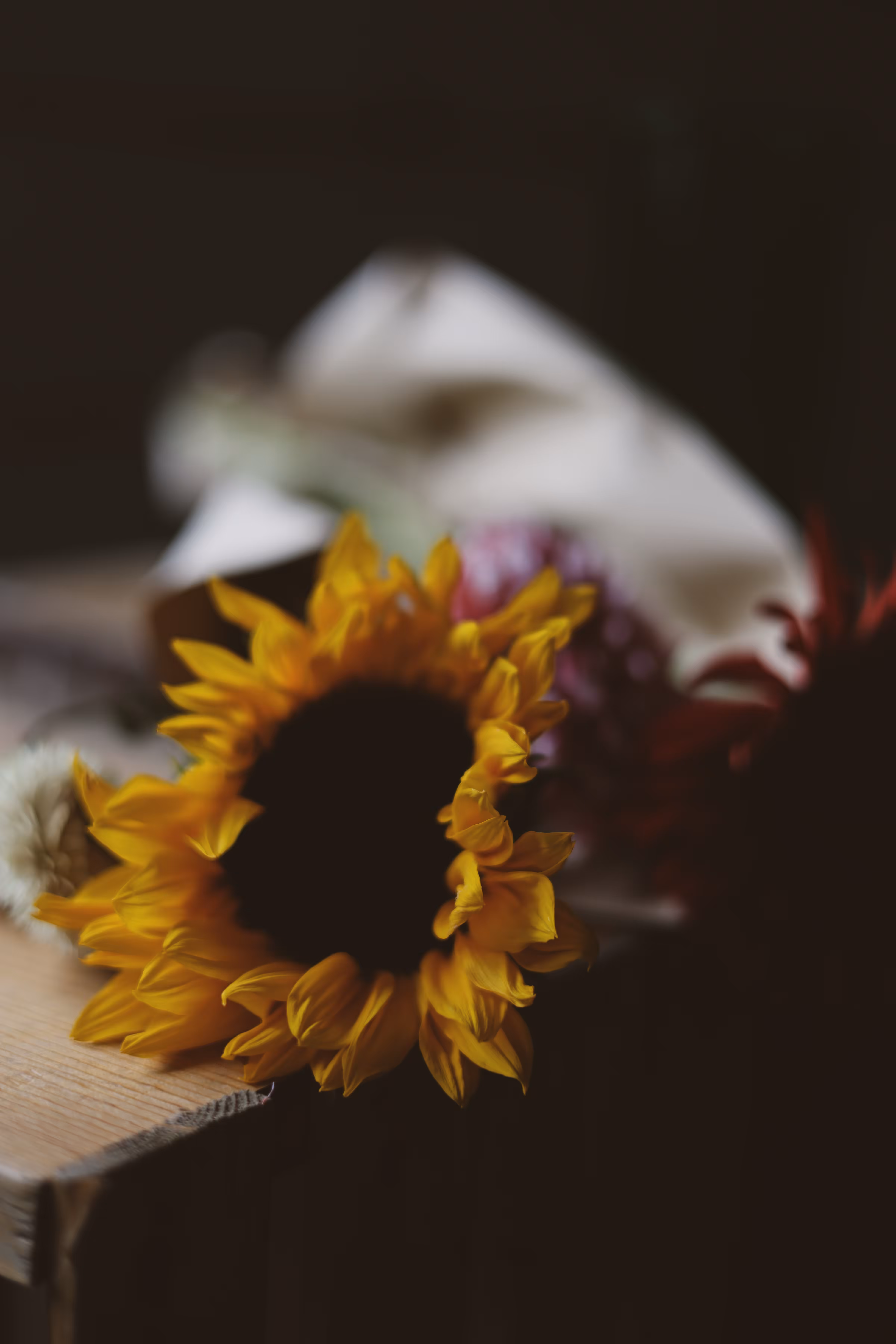 _layers of petals