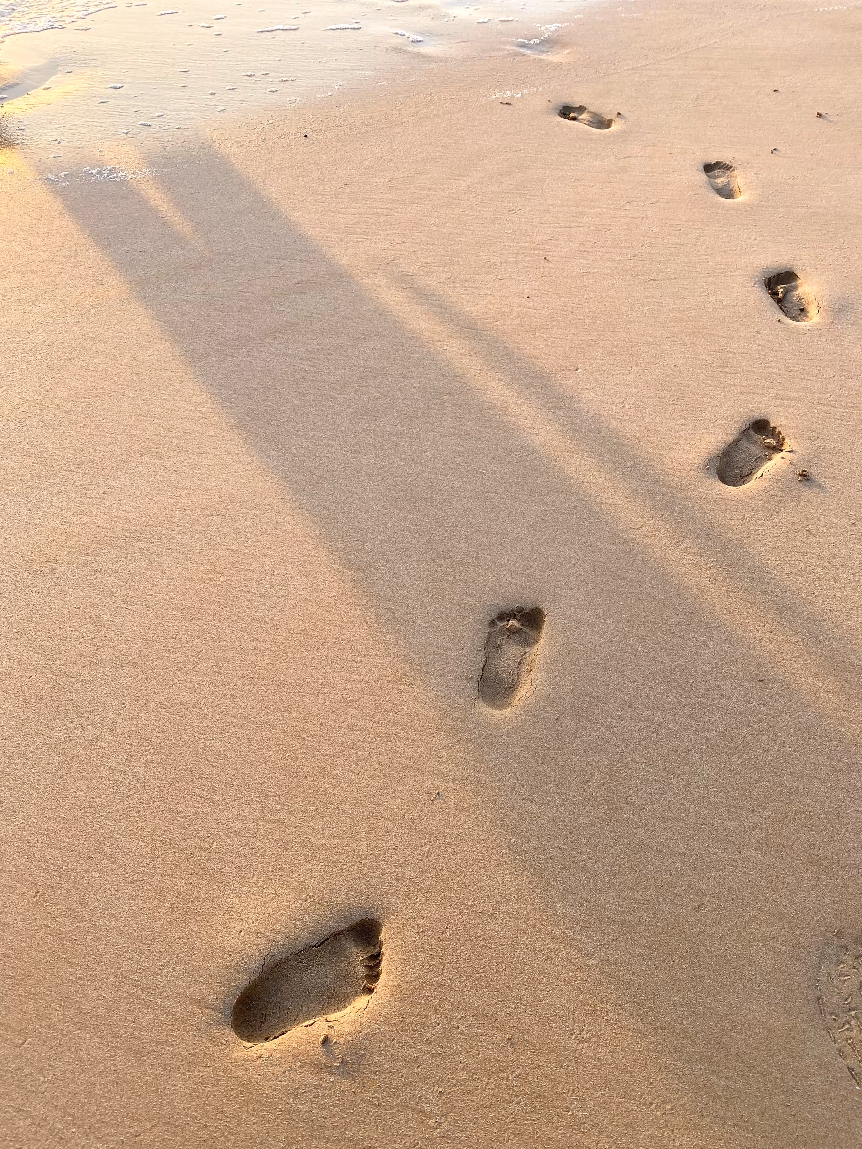 Little Feet, Big Love