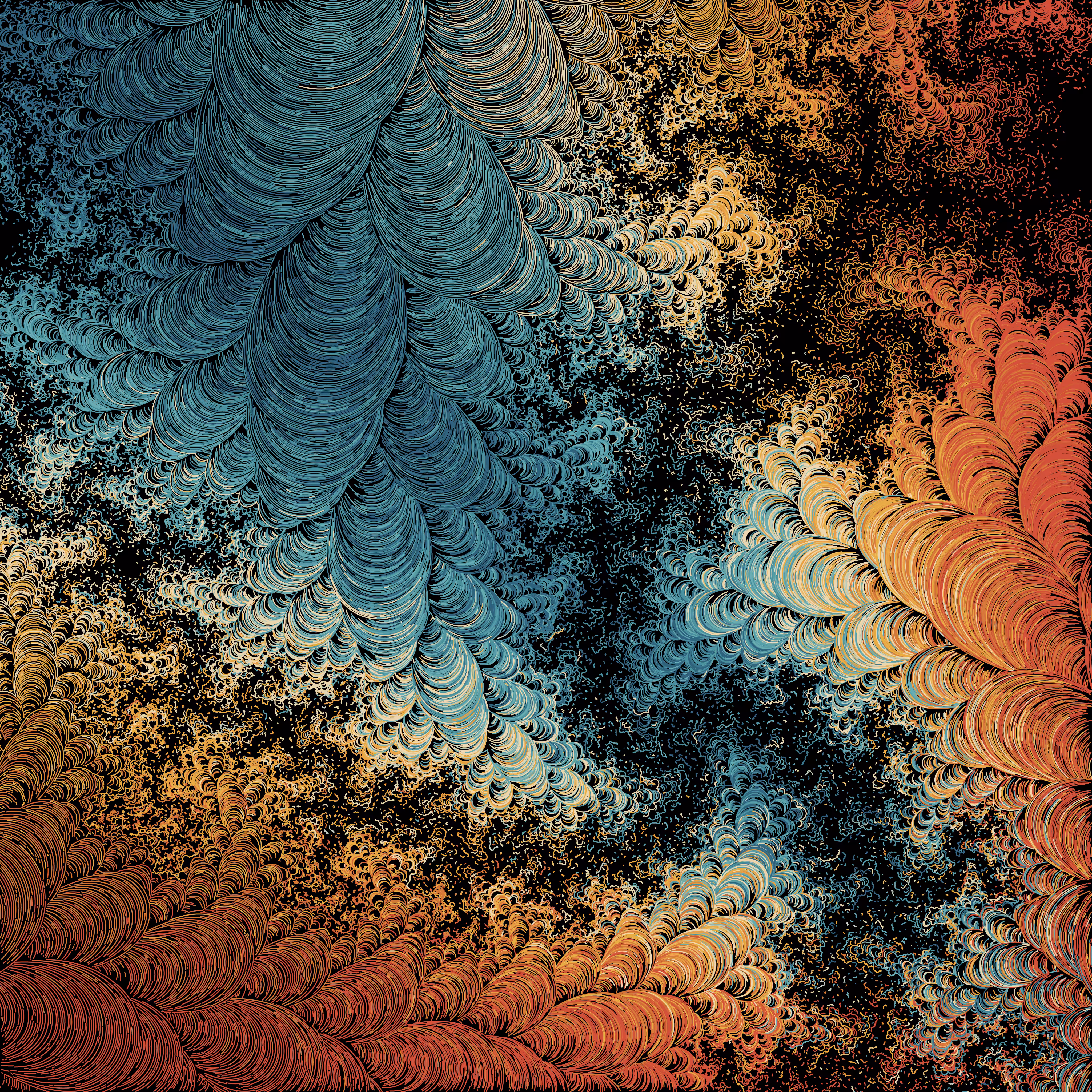 Fractal Fields #1