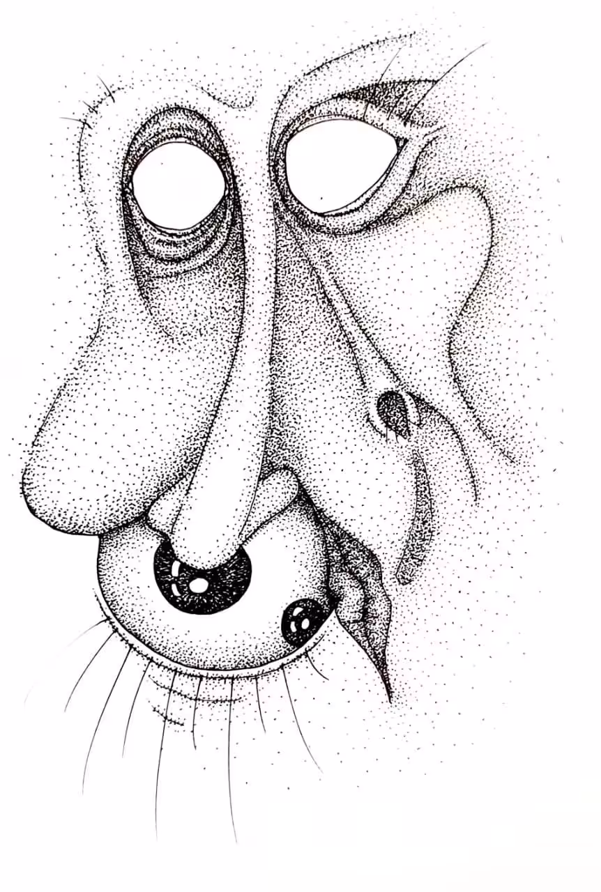 saran 01
