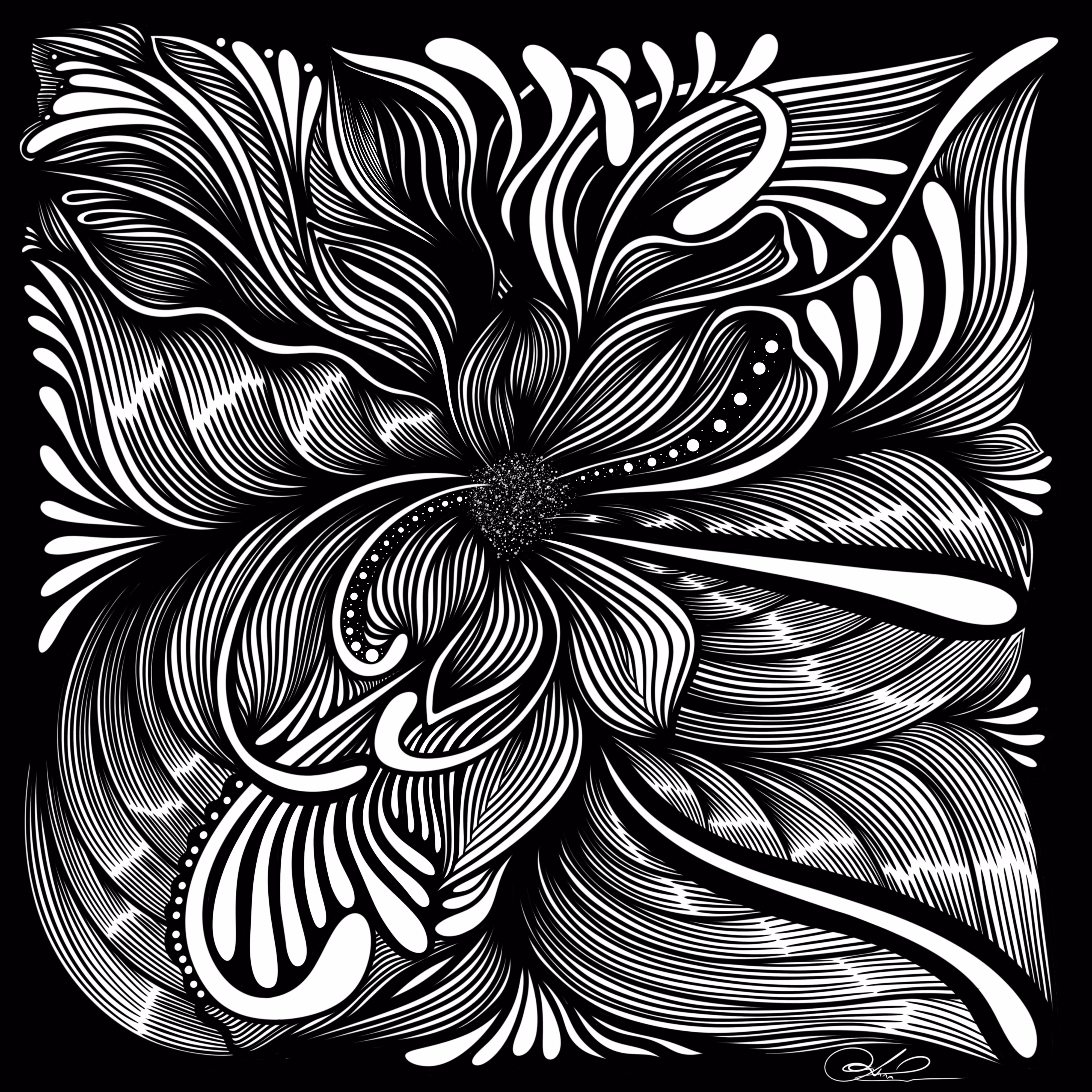 Lines of Becoming