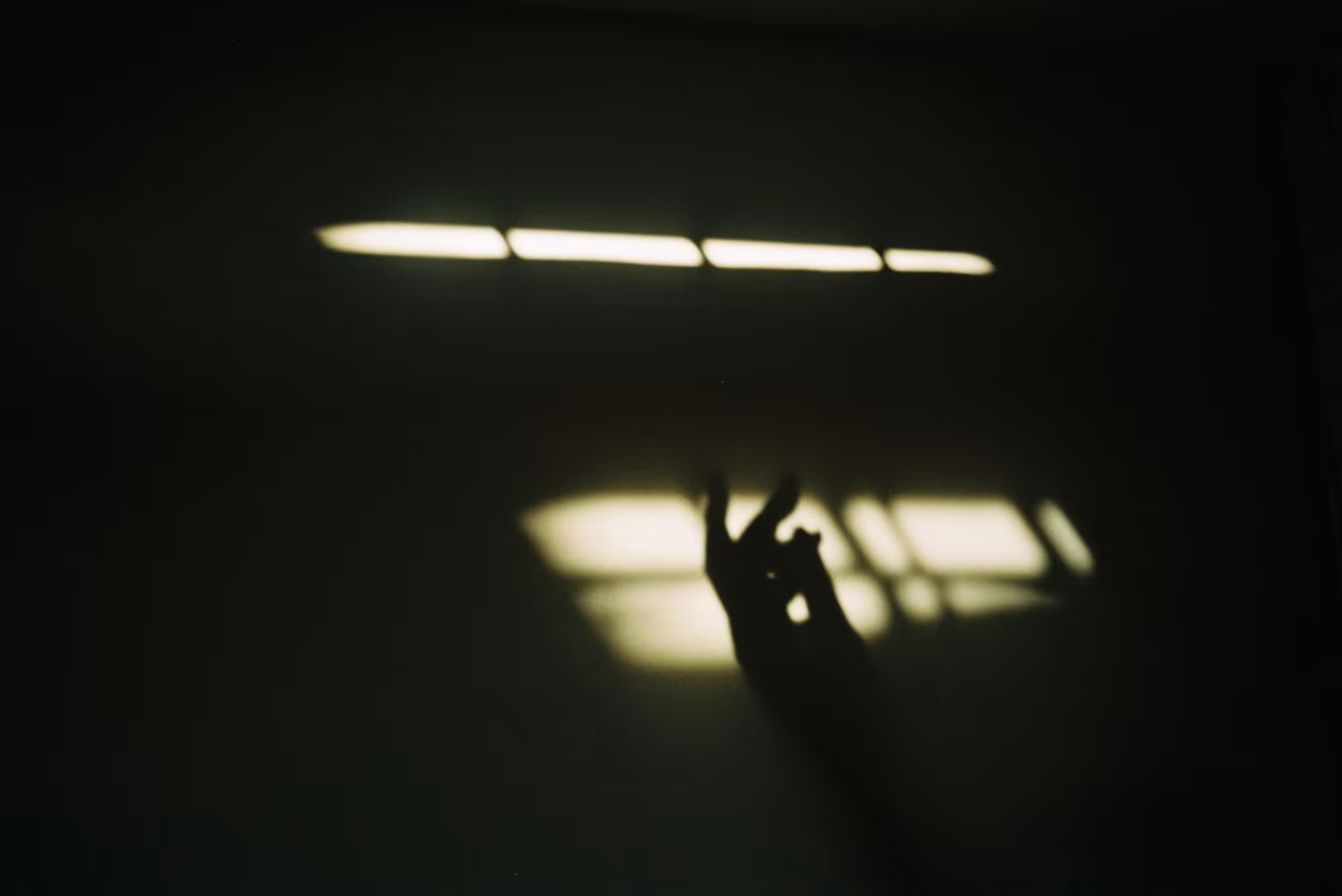 Fade into you