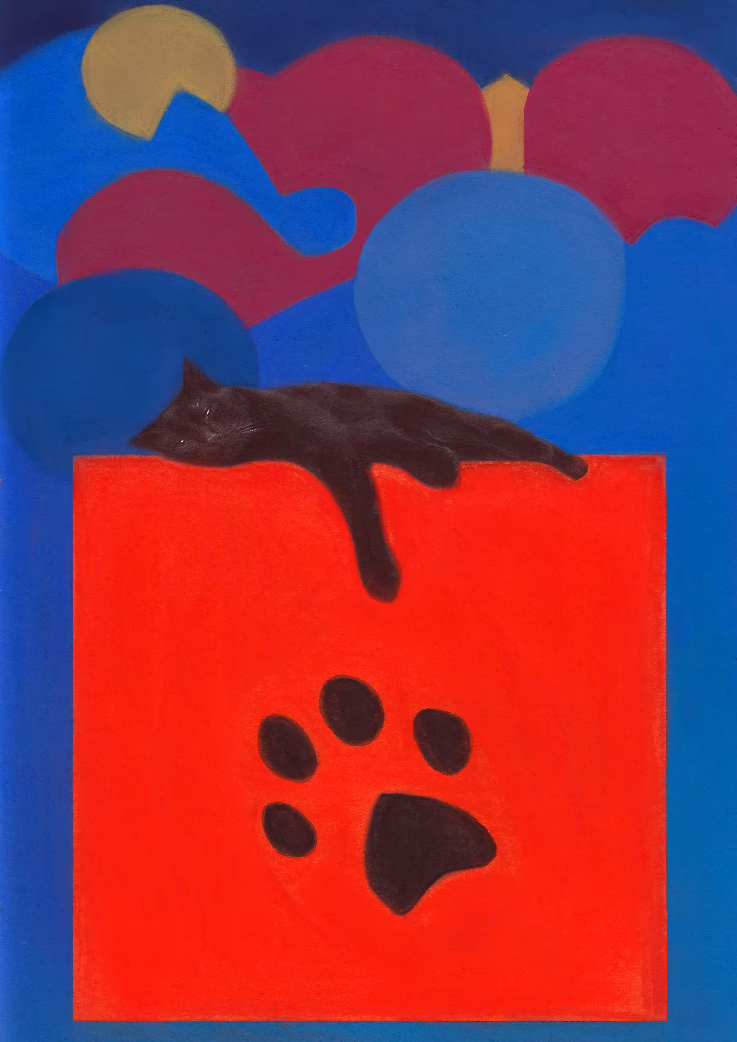 cats&another beautiful pets: Red square of a black cat