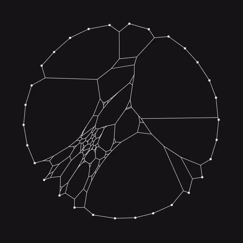 Elastic Web #80