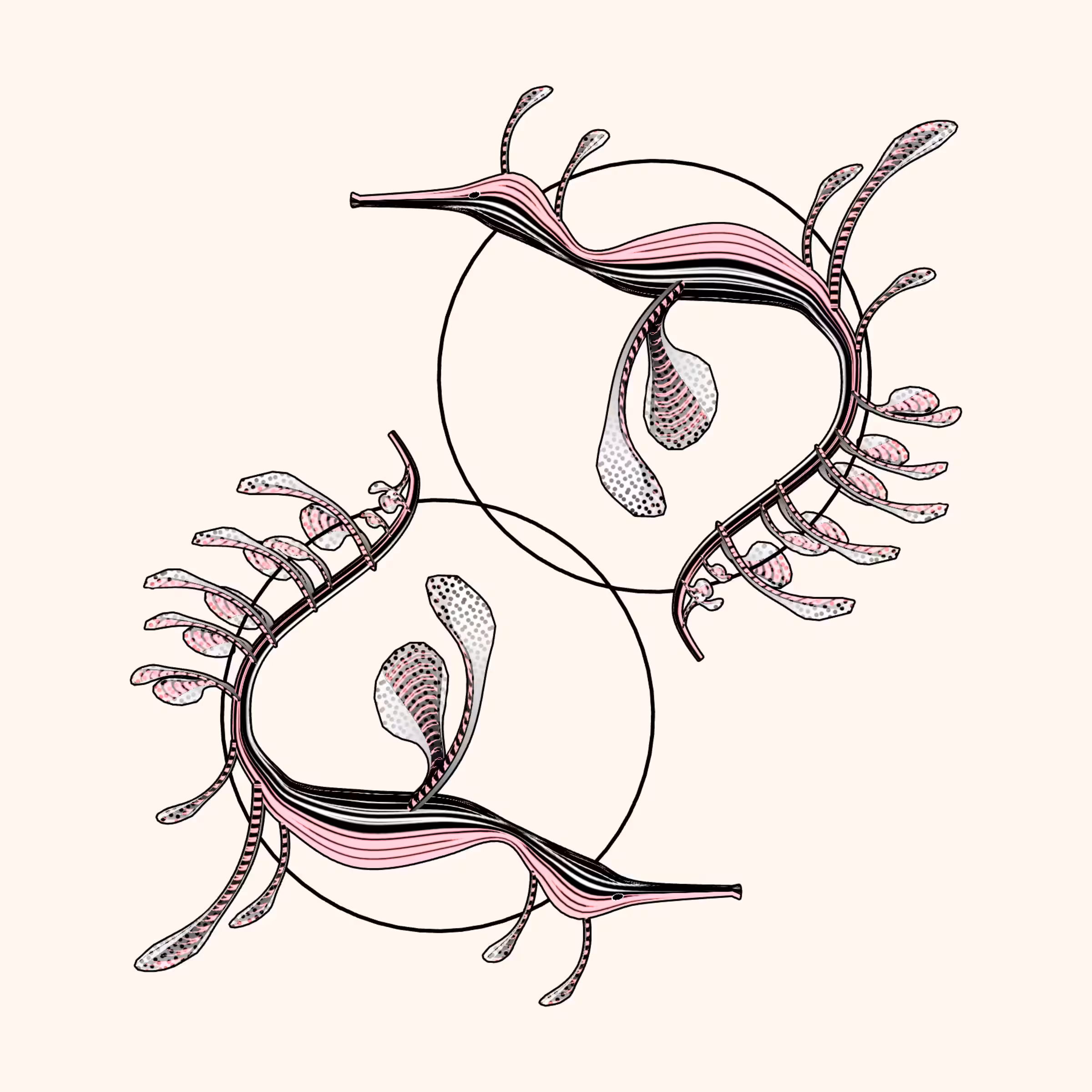 Seadragons #819