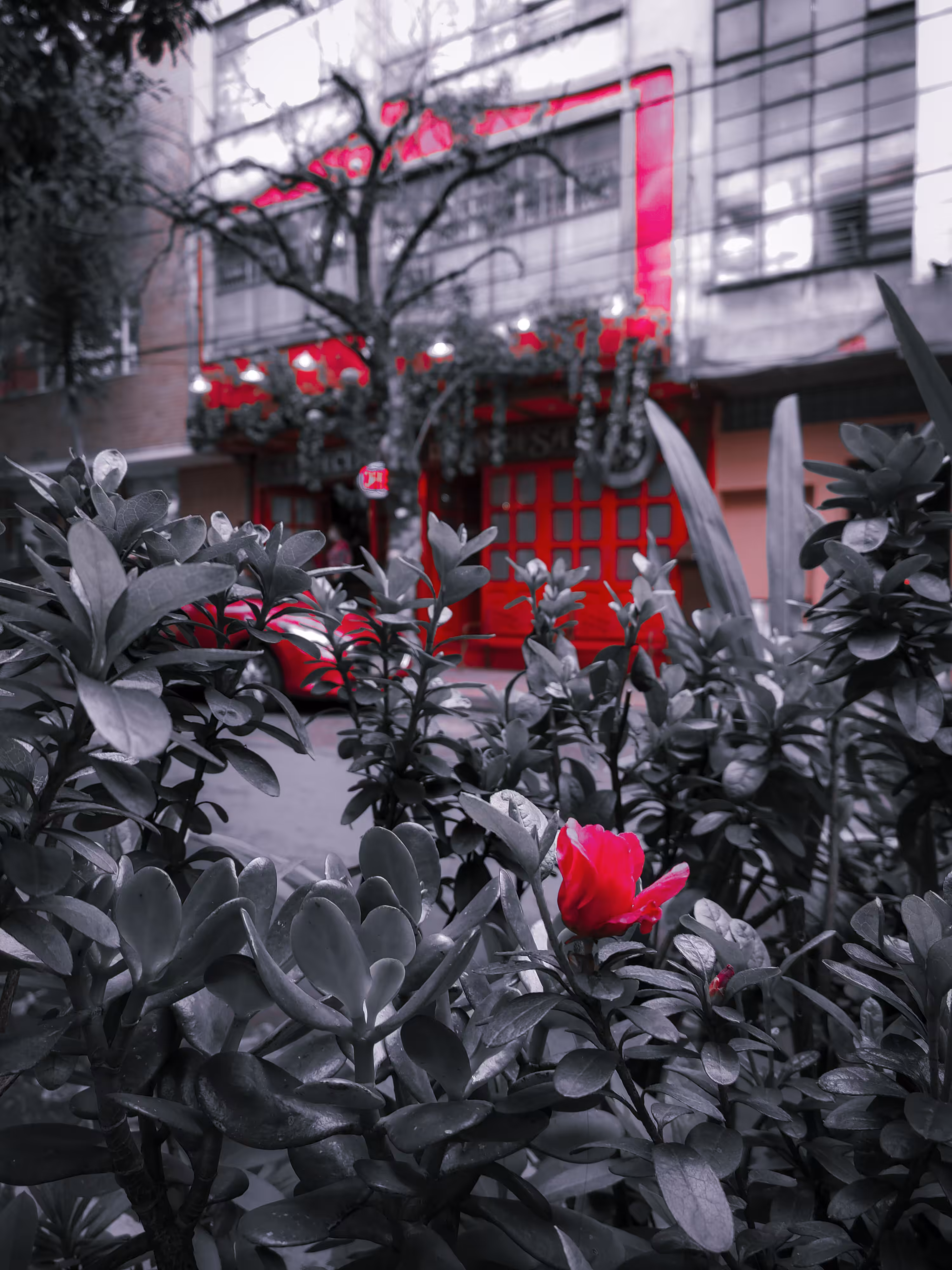 One Color #001