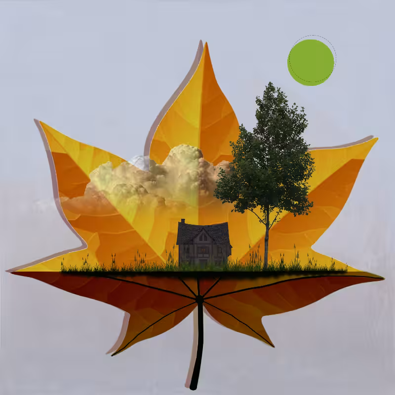 Live in Nature #21