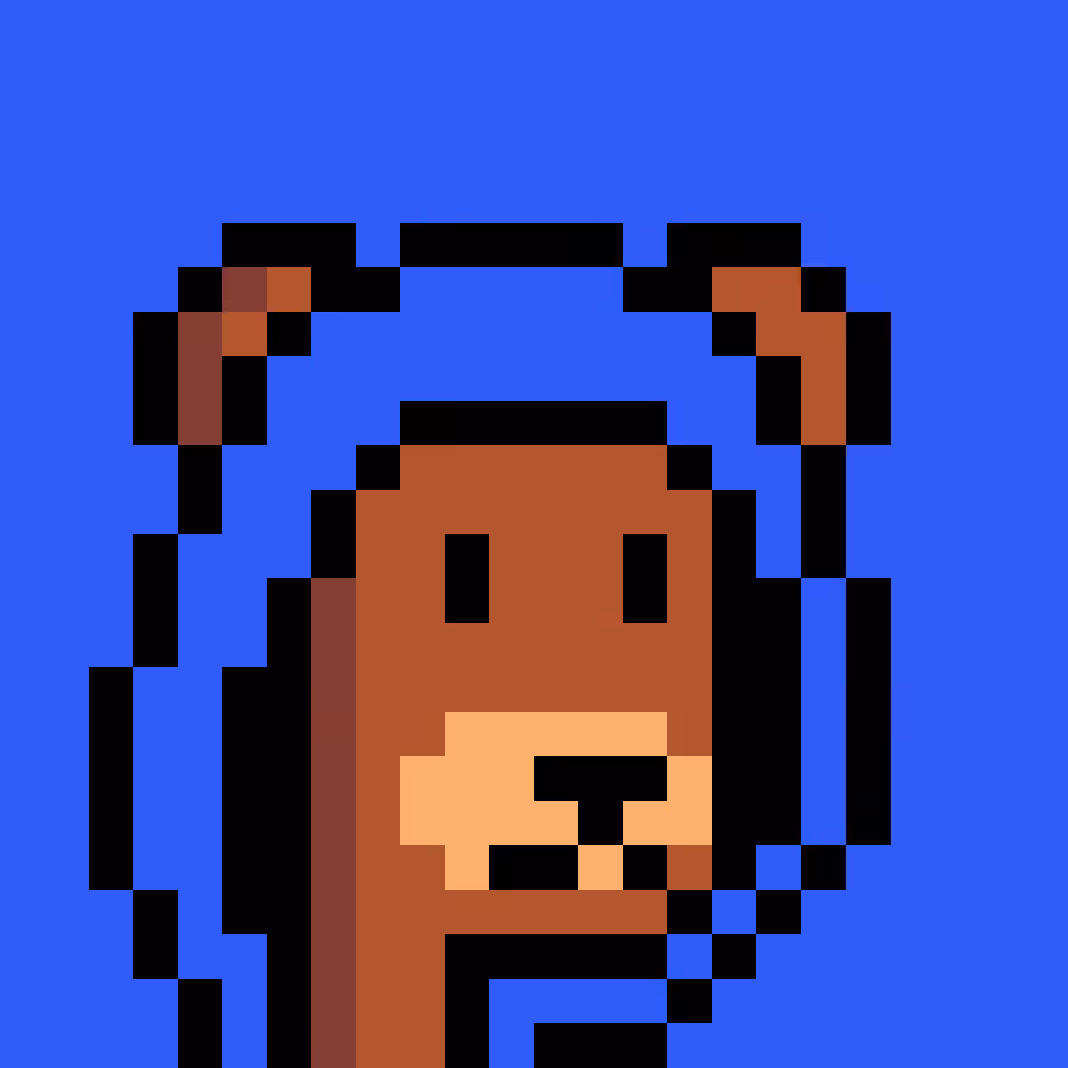 BearPunks #1304