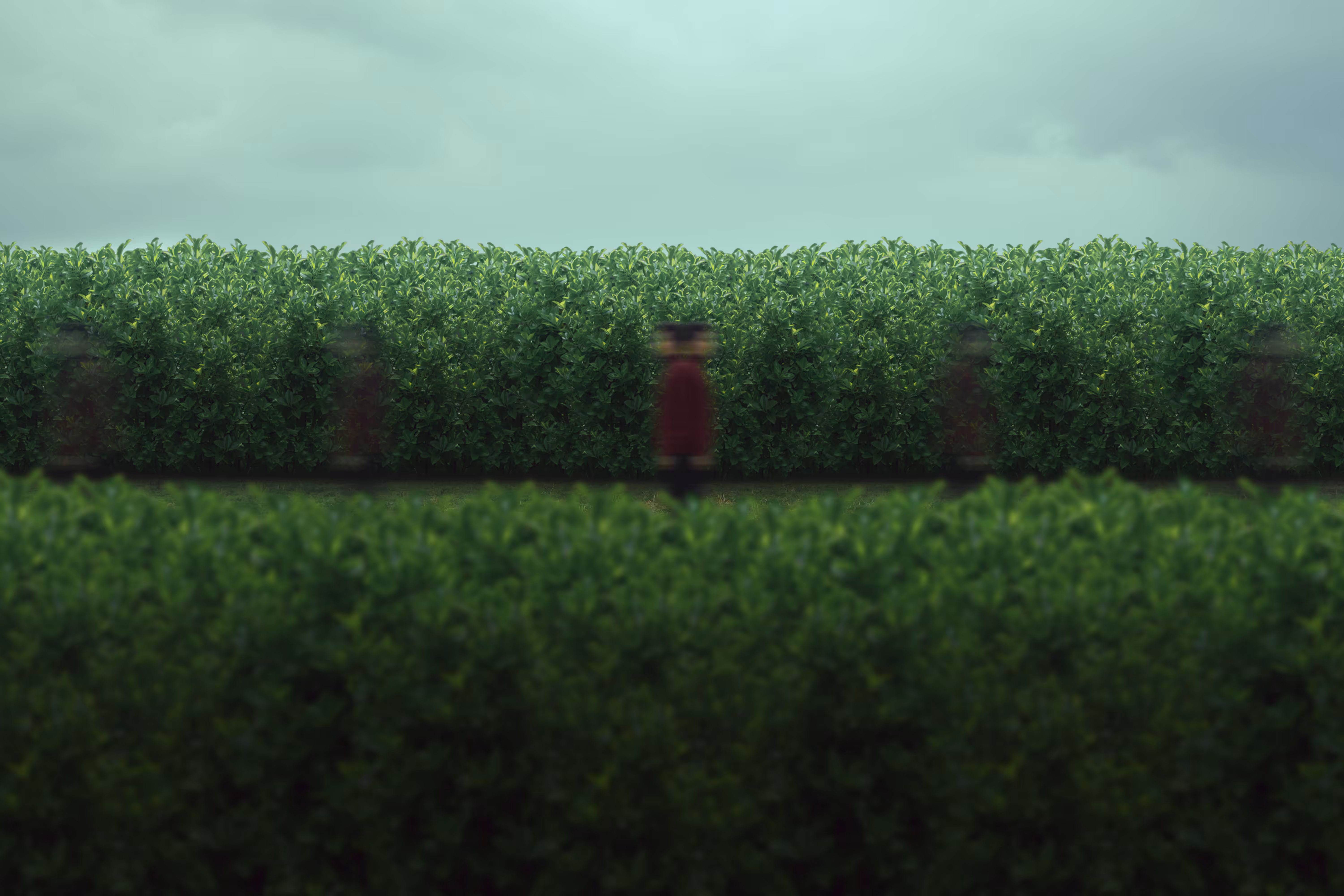 Photography: Echoes of Presence