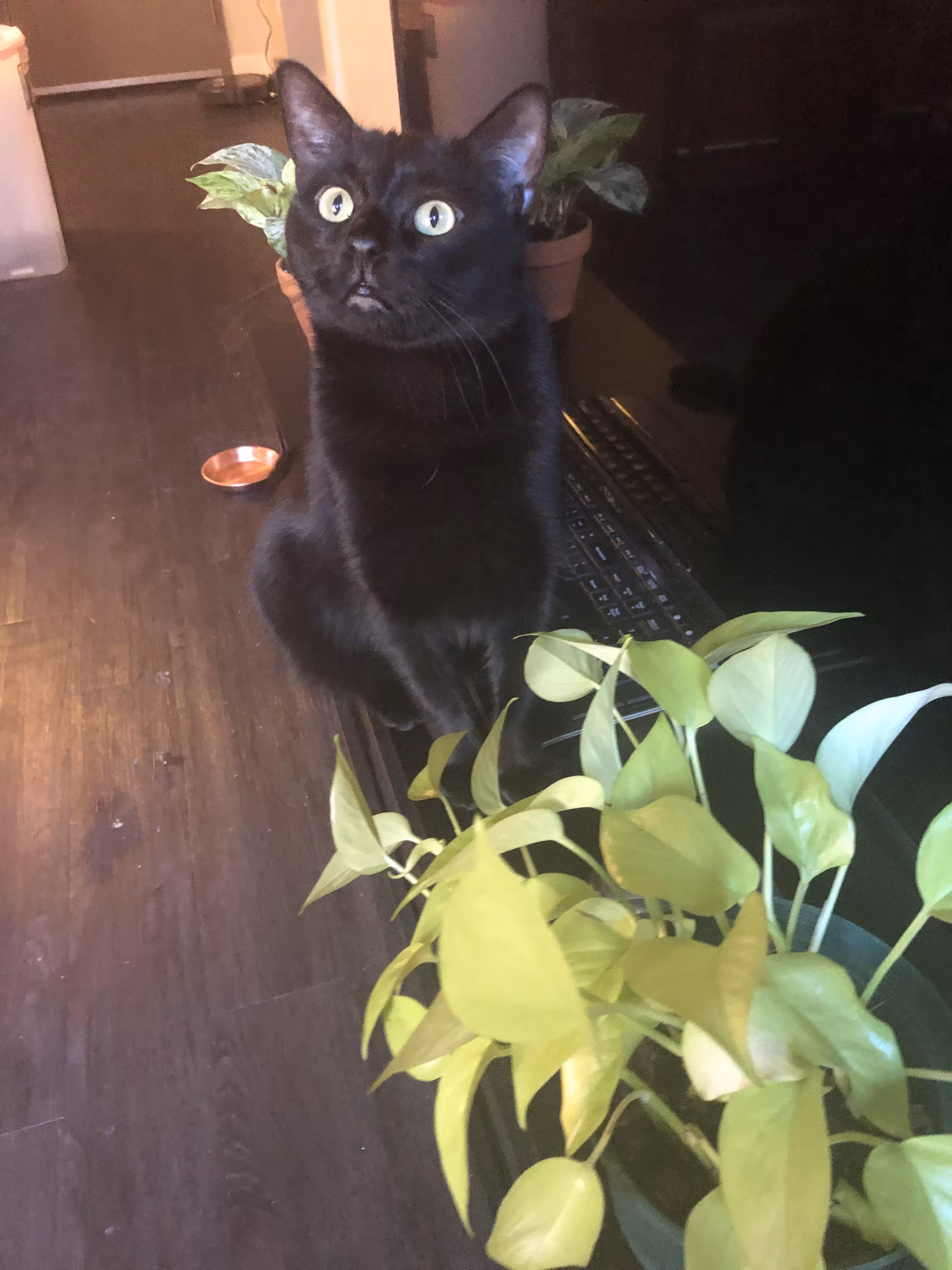 Who me?