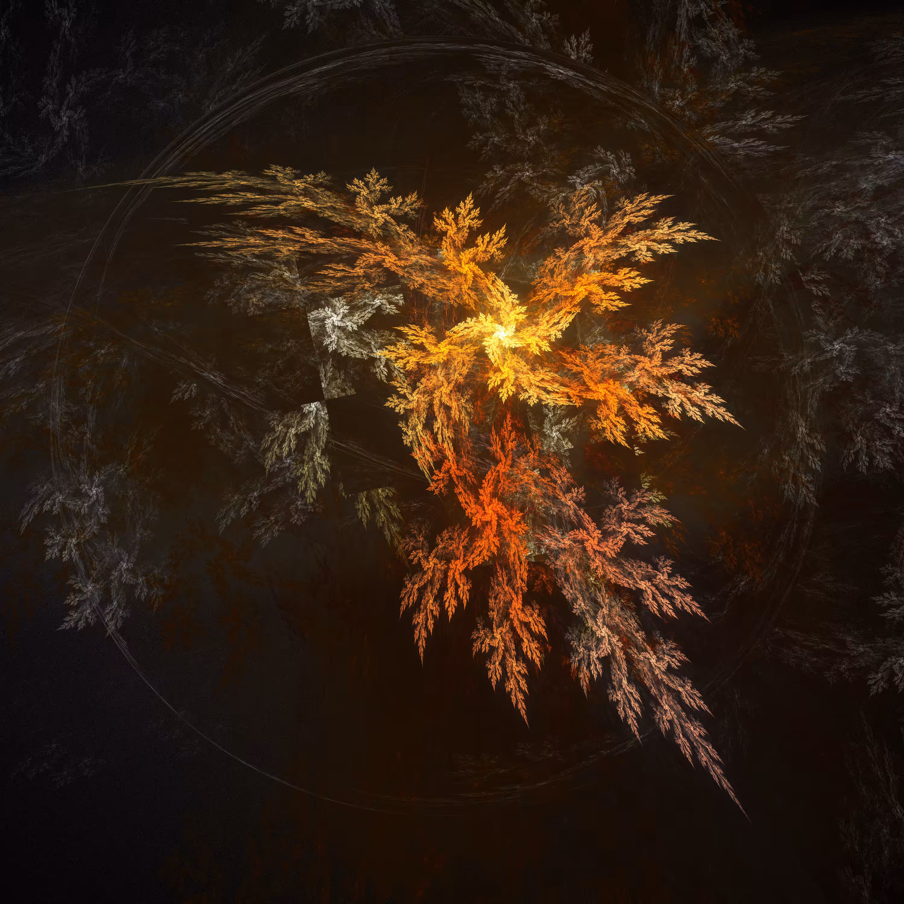 Fractal Anarchy \\ Series 001 \\ Fractal 001