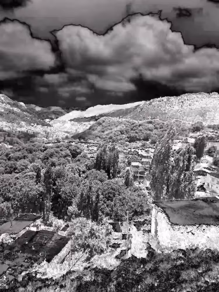 The Dancing Trees Of The Village