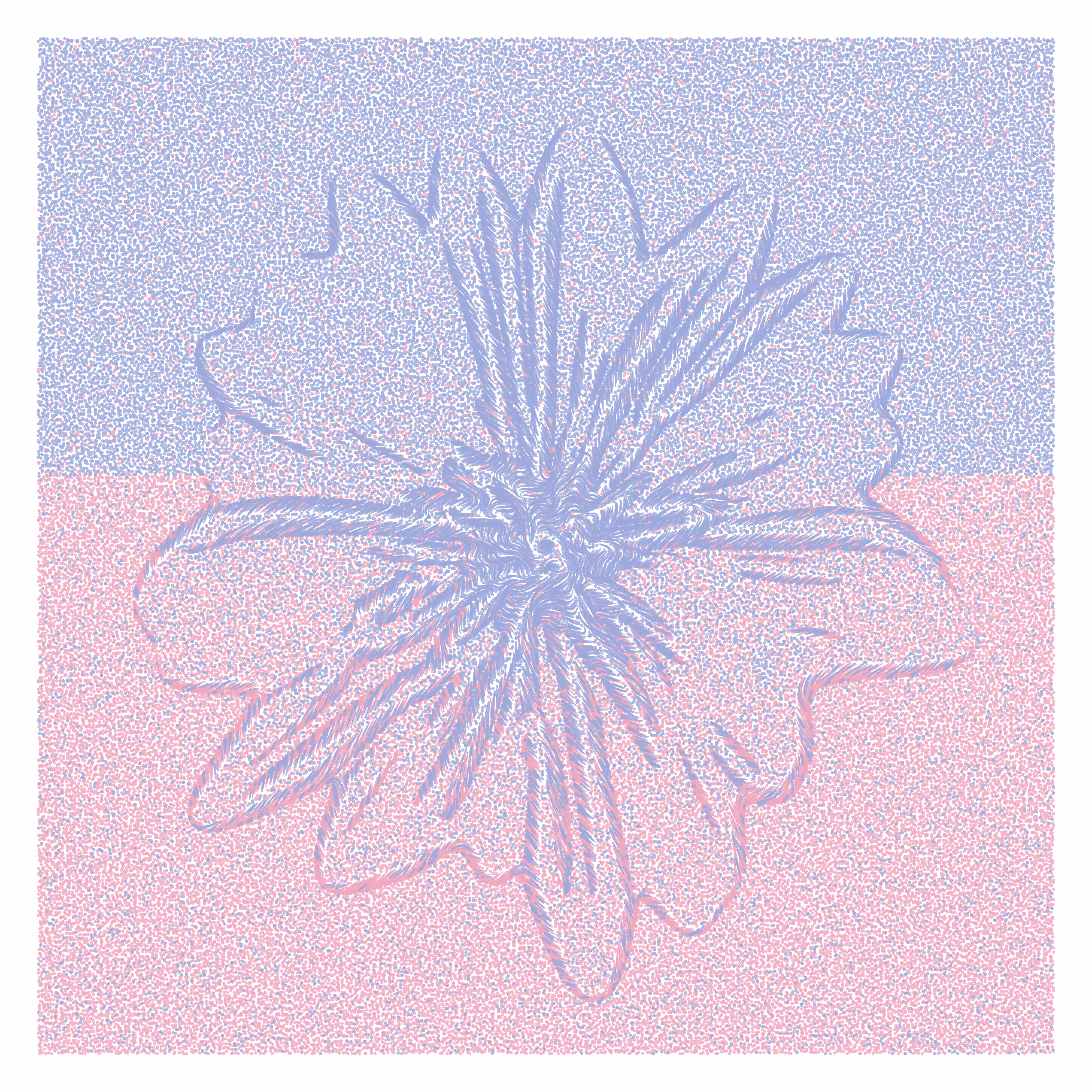 Flower Portrait #4