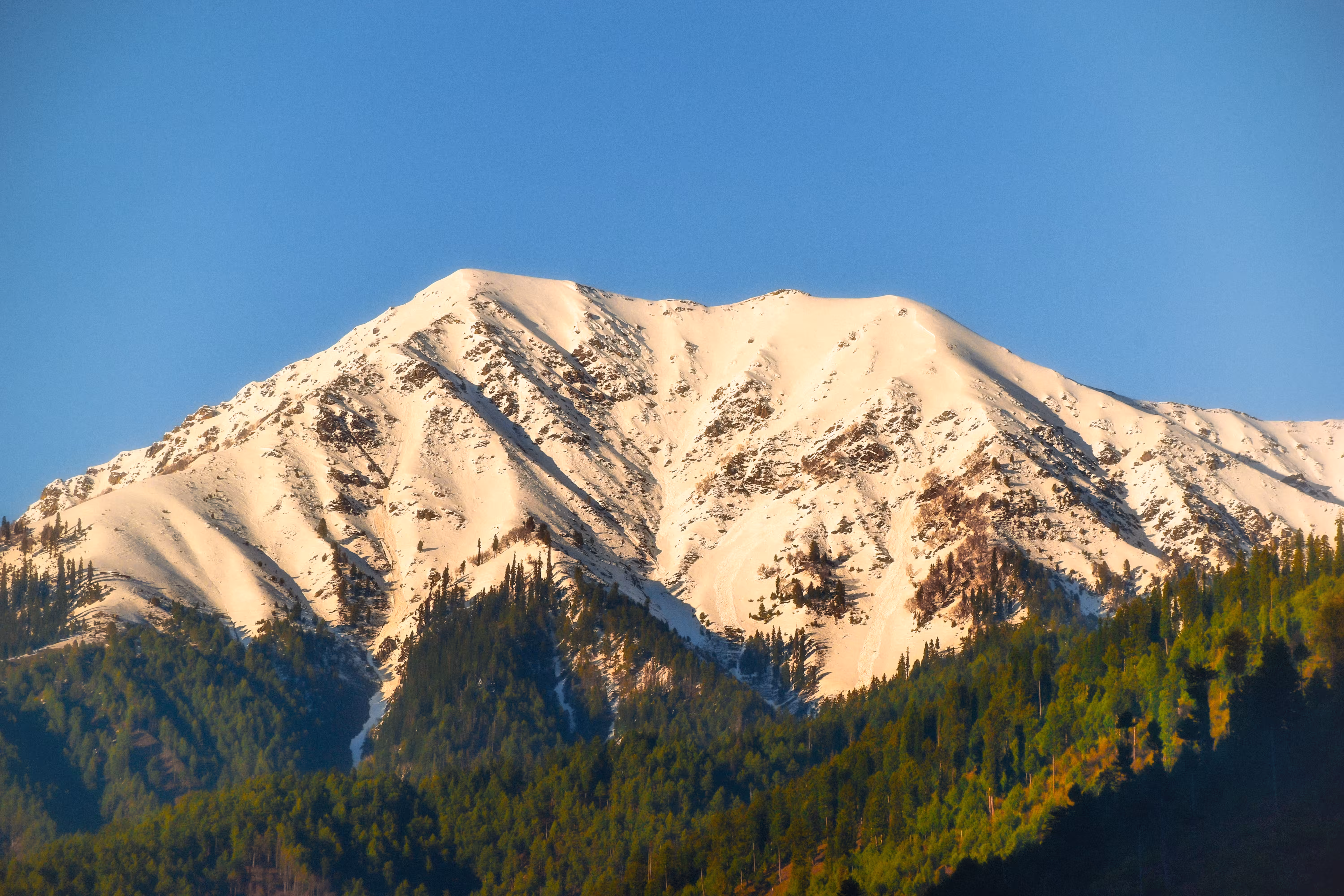 Alpine Aria