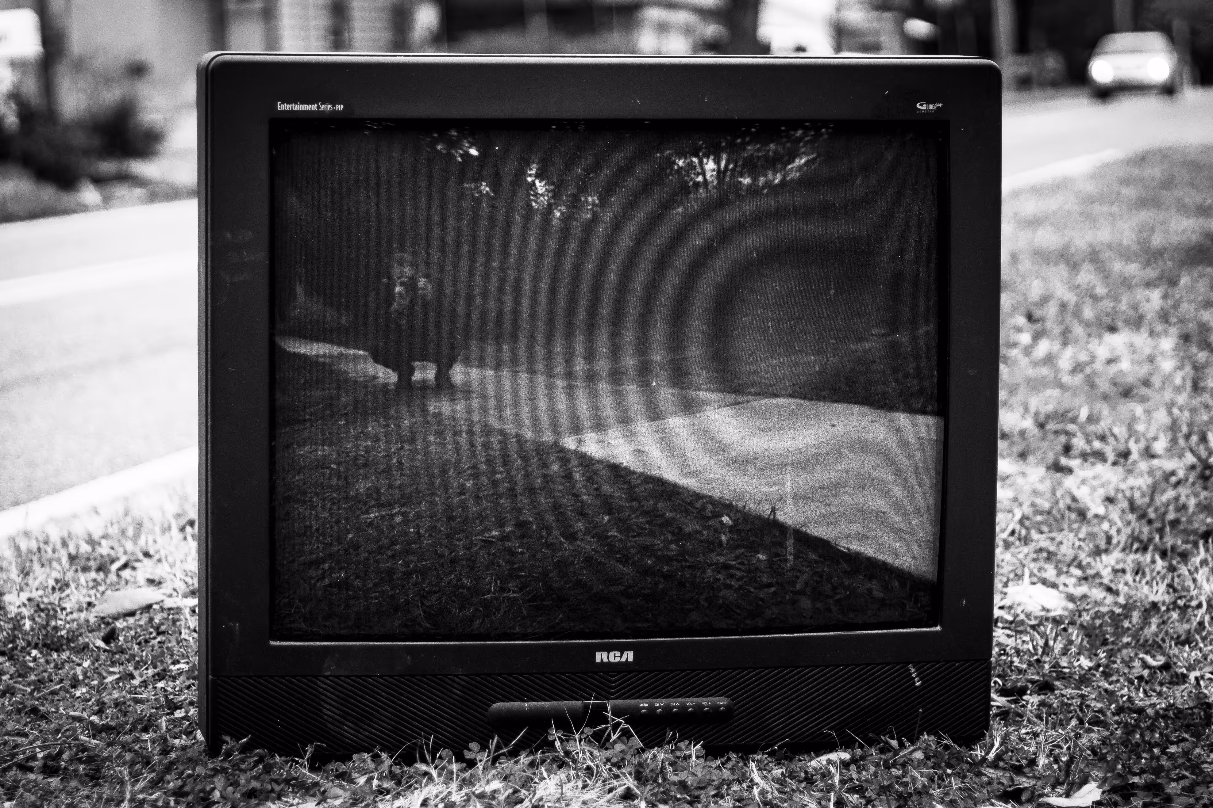 look ma, i'm on t.v.