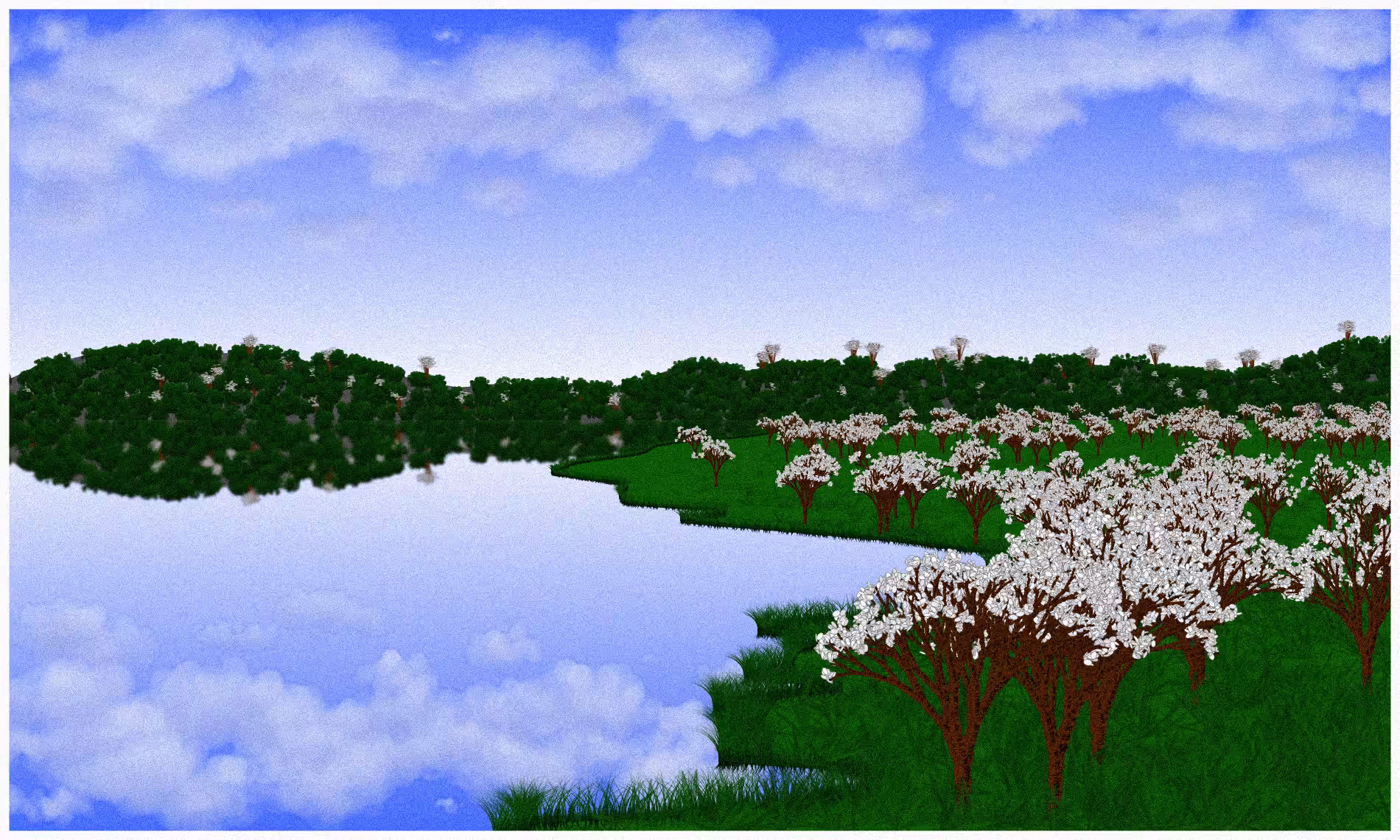 Reflected #4