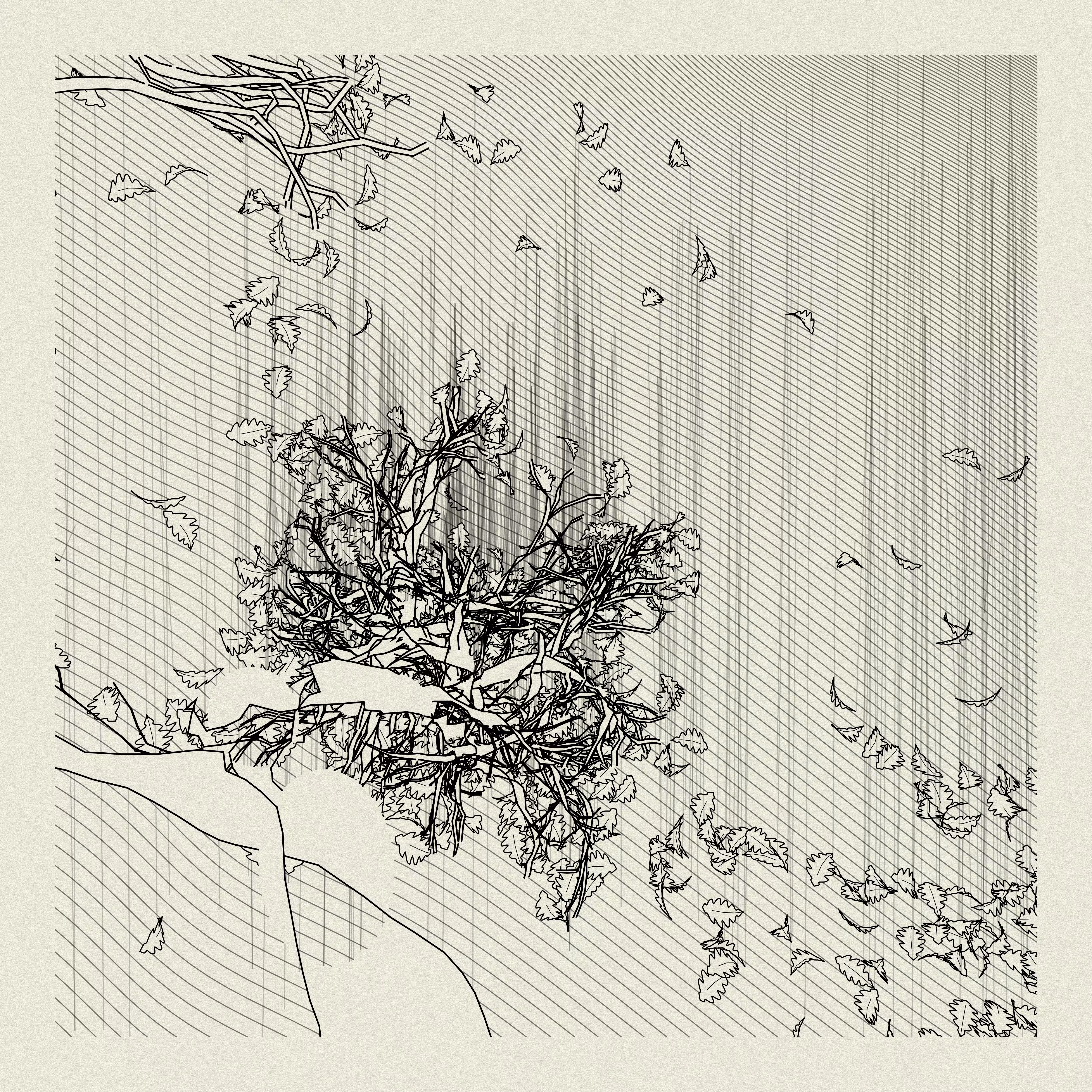 A Bugged Forest #294